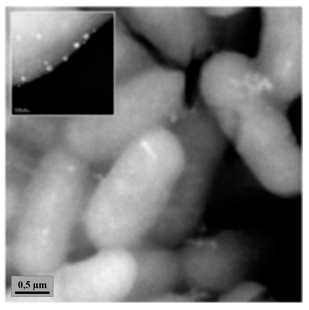 Ijms 19 00444 g002