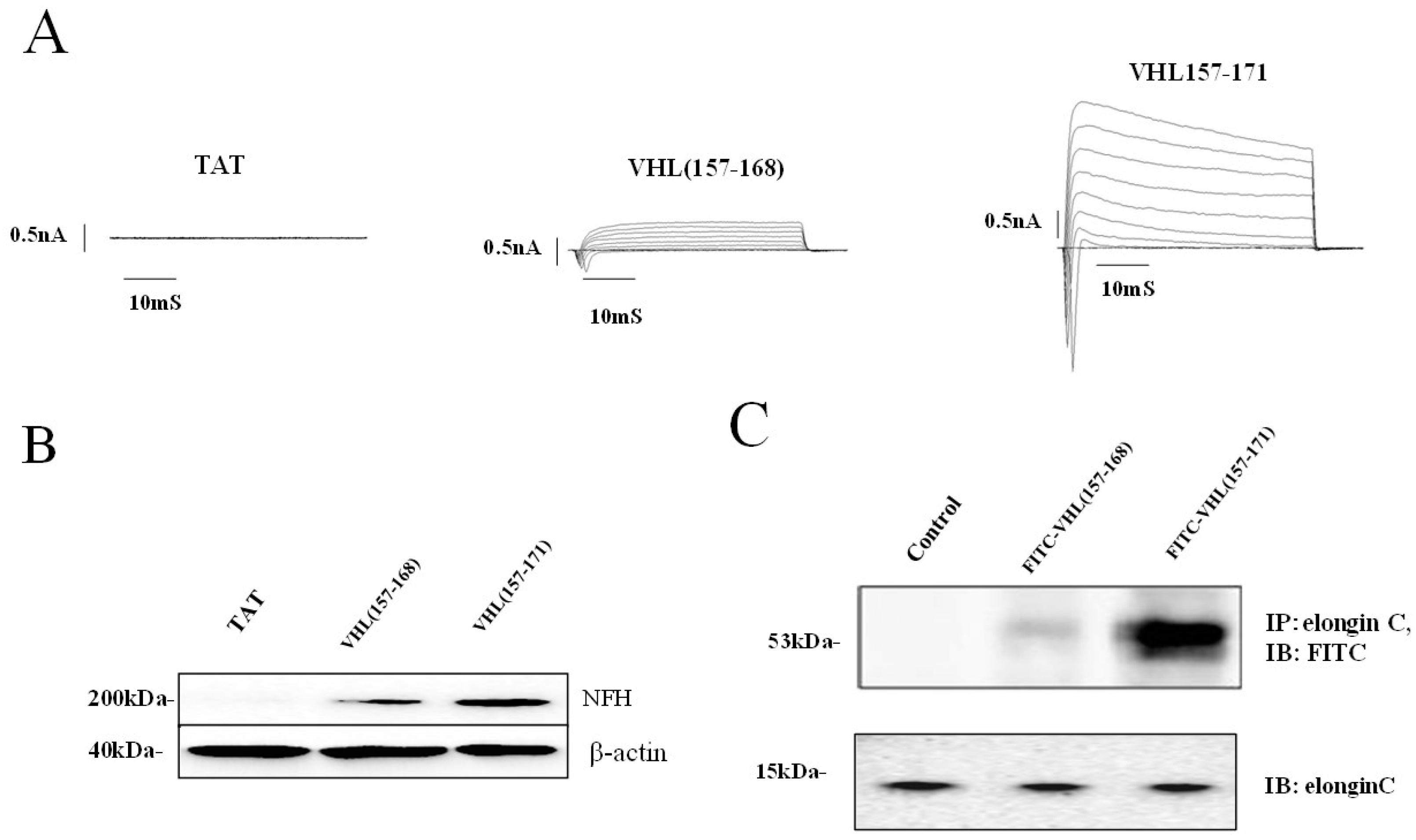 Ijms 19 00466 g003