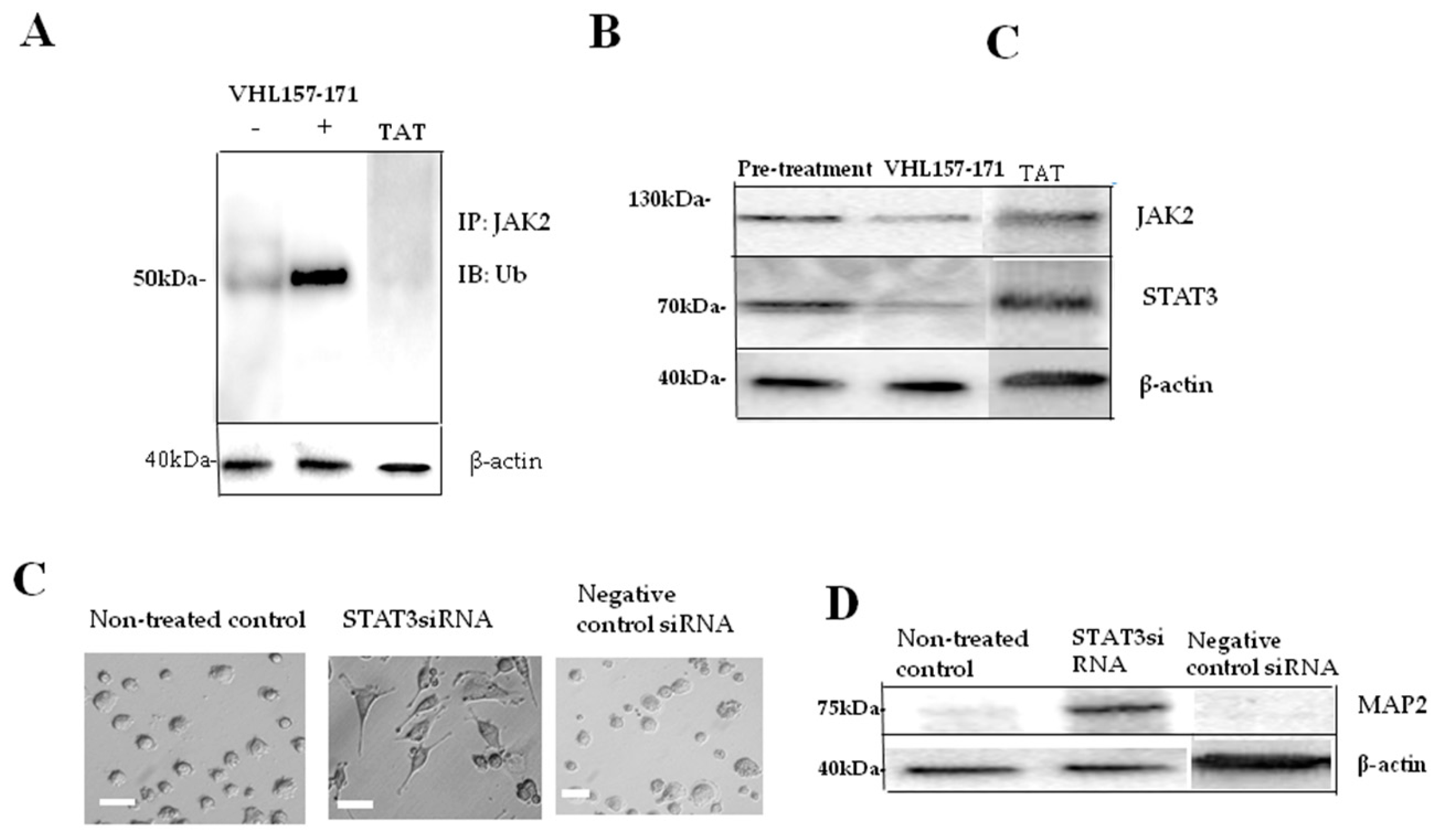Ijms 19 00466 g005