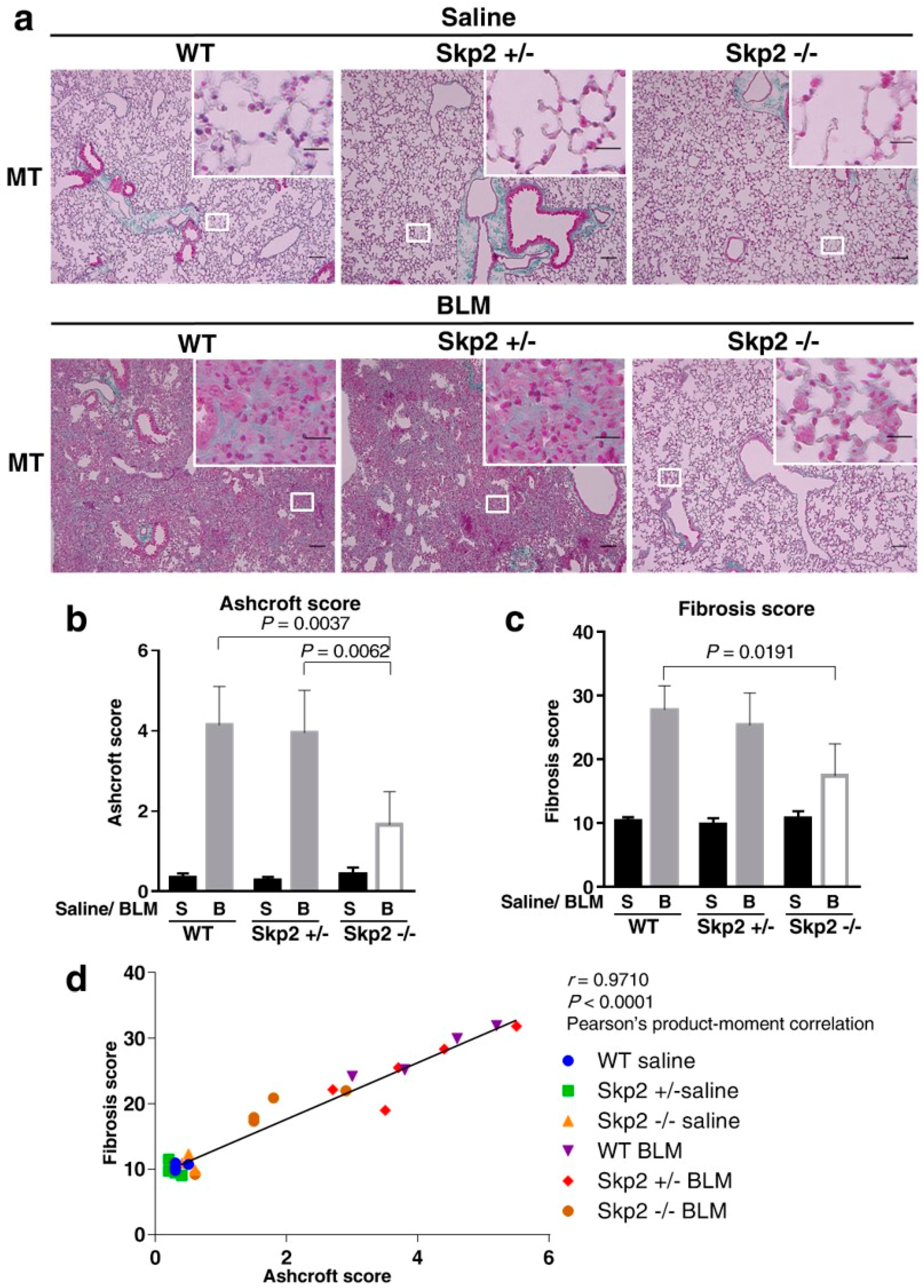 Ijms 19 00474 g001 Ijms 19 00474 g001