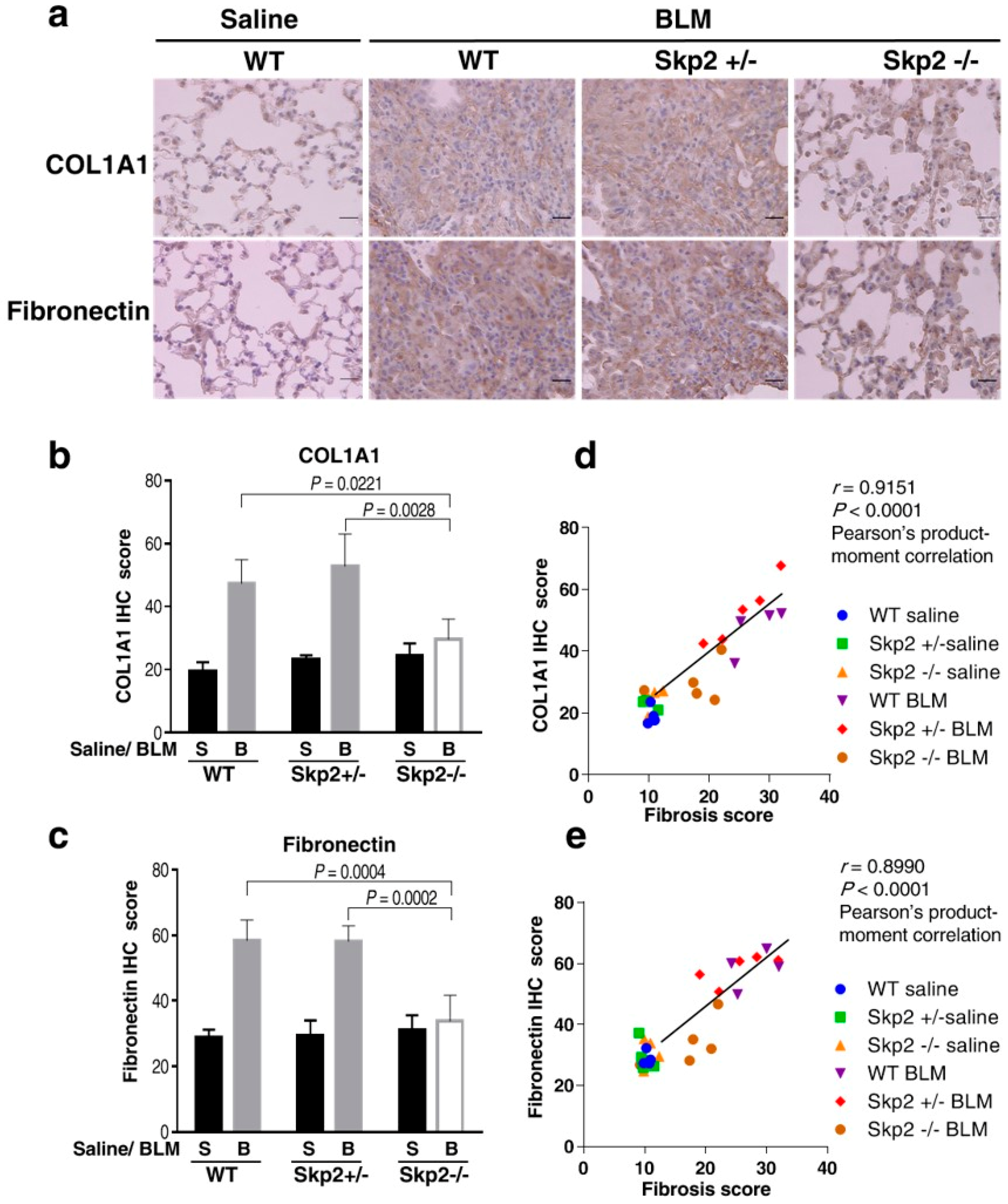 Ijms 19 00474 g002 Ijms 19 00474 g002