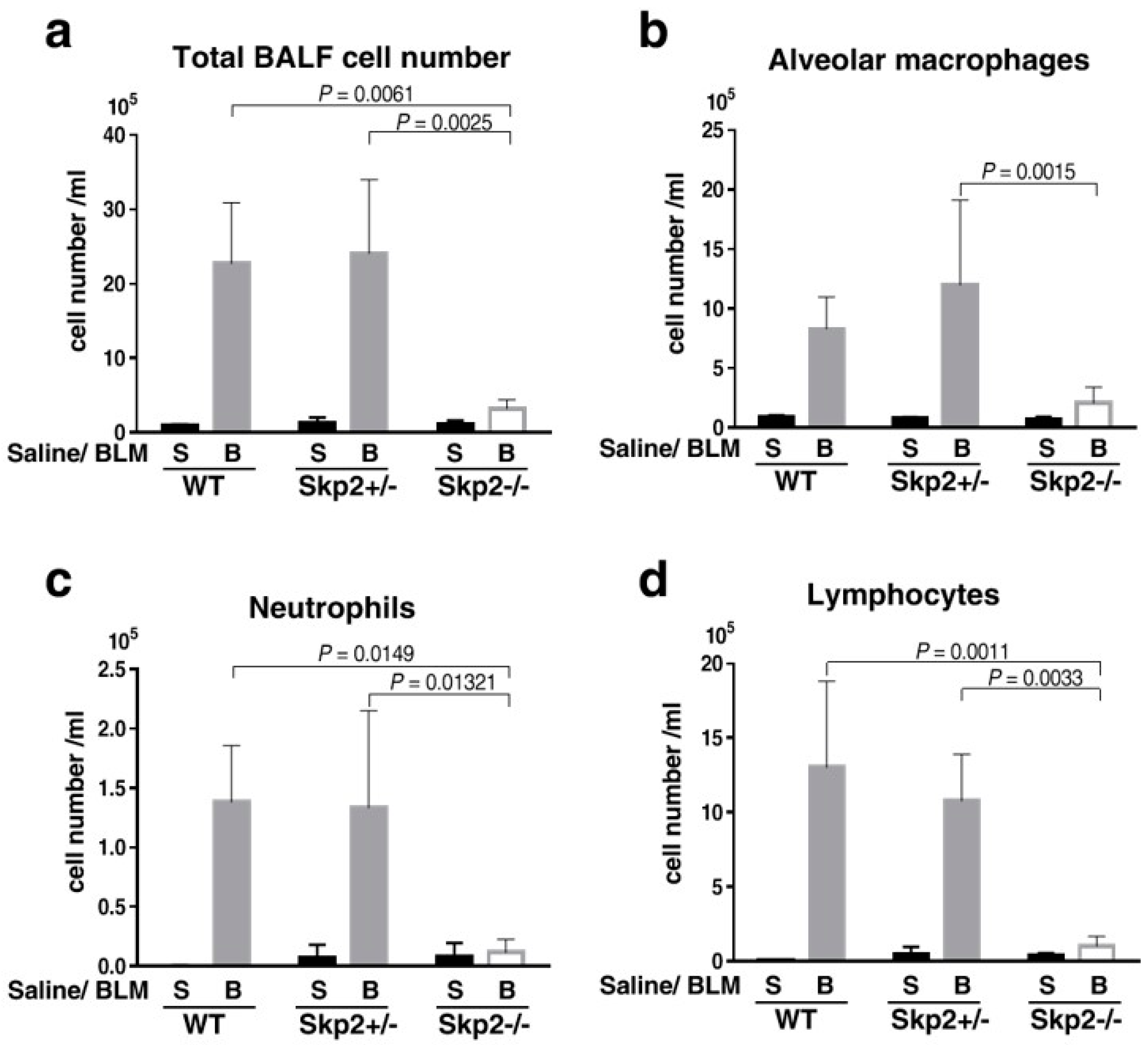 Ijms 19 00474 g003 Ijms 19 00474 g003
