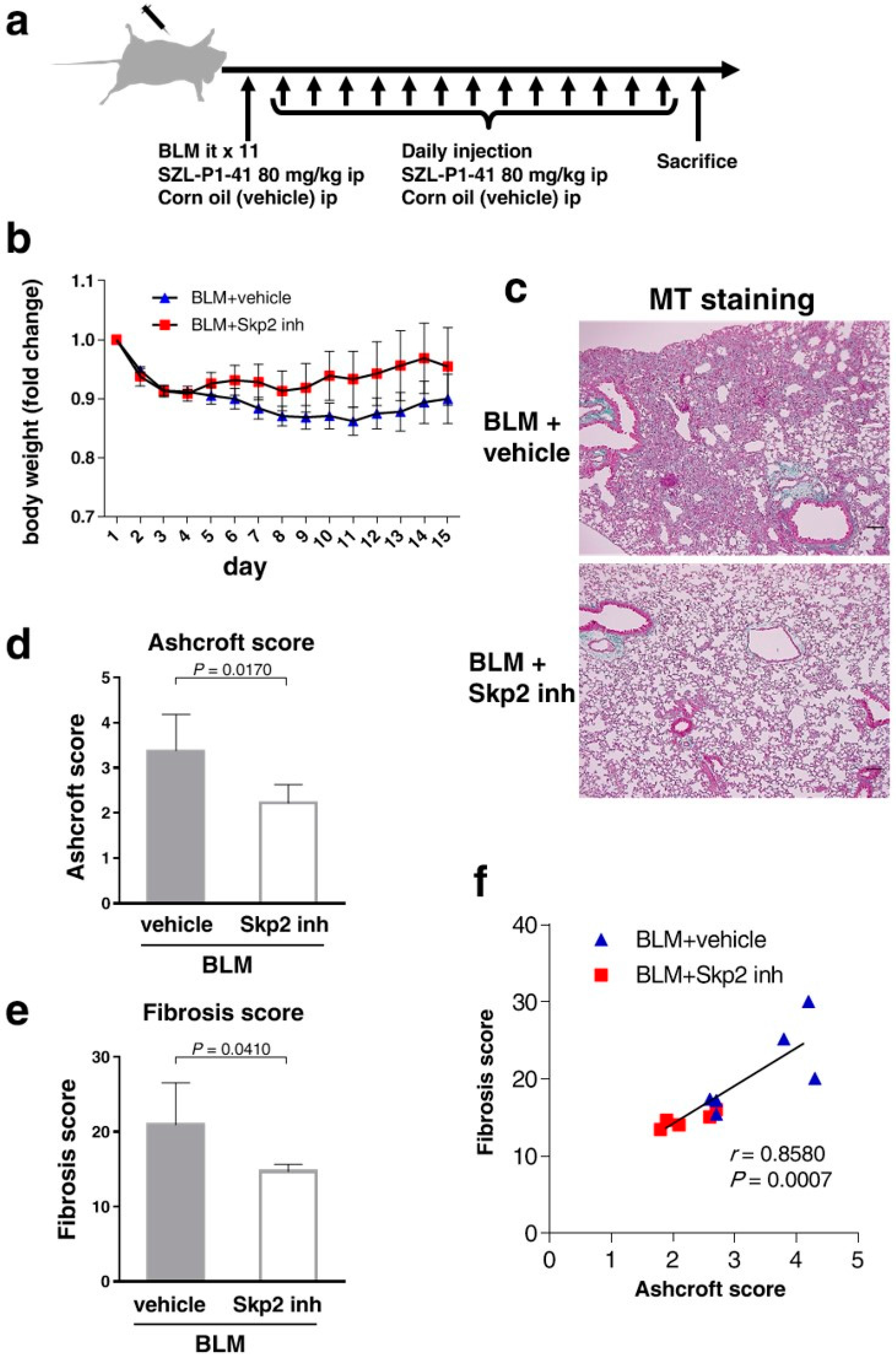 Ijms 19 00474 g005 Ijms 19 00474 g005