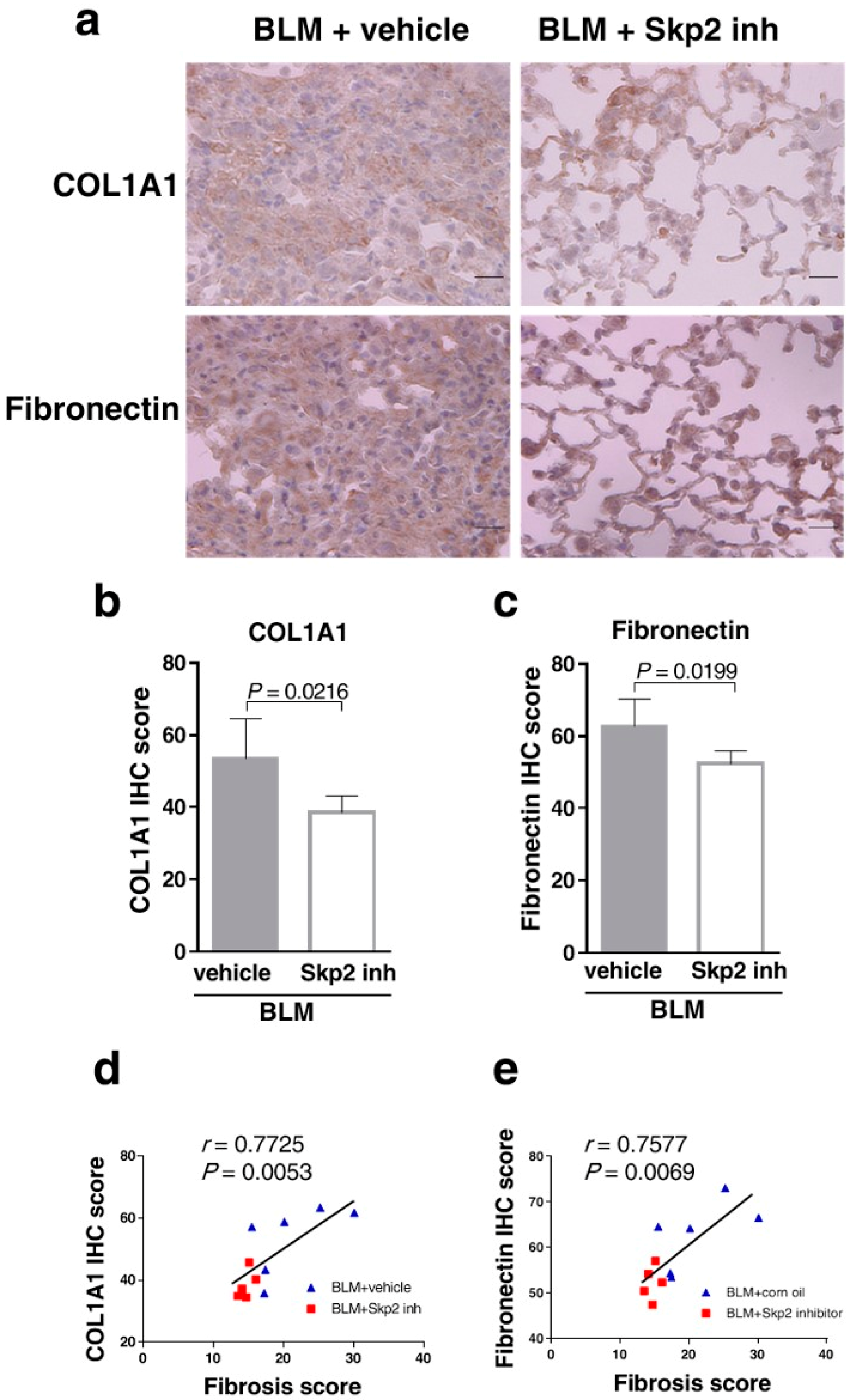 Ijms 19 00474 g006 Ijms 19 00474 g006