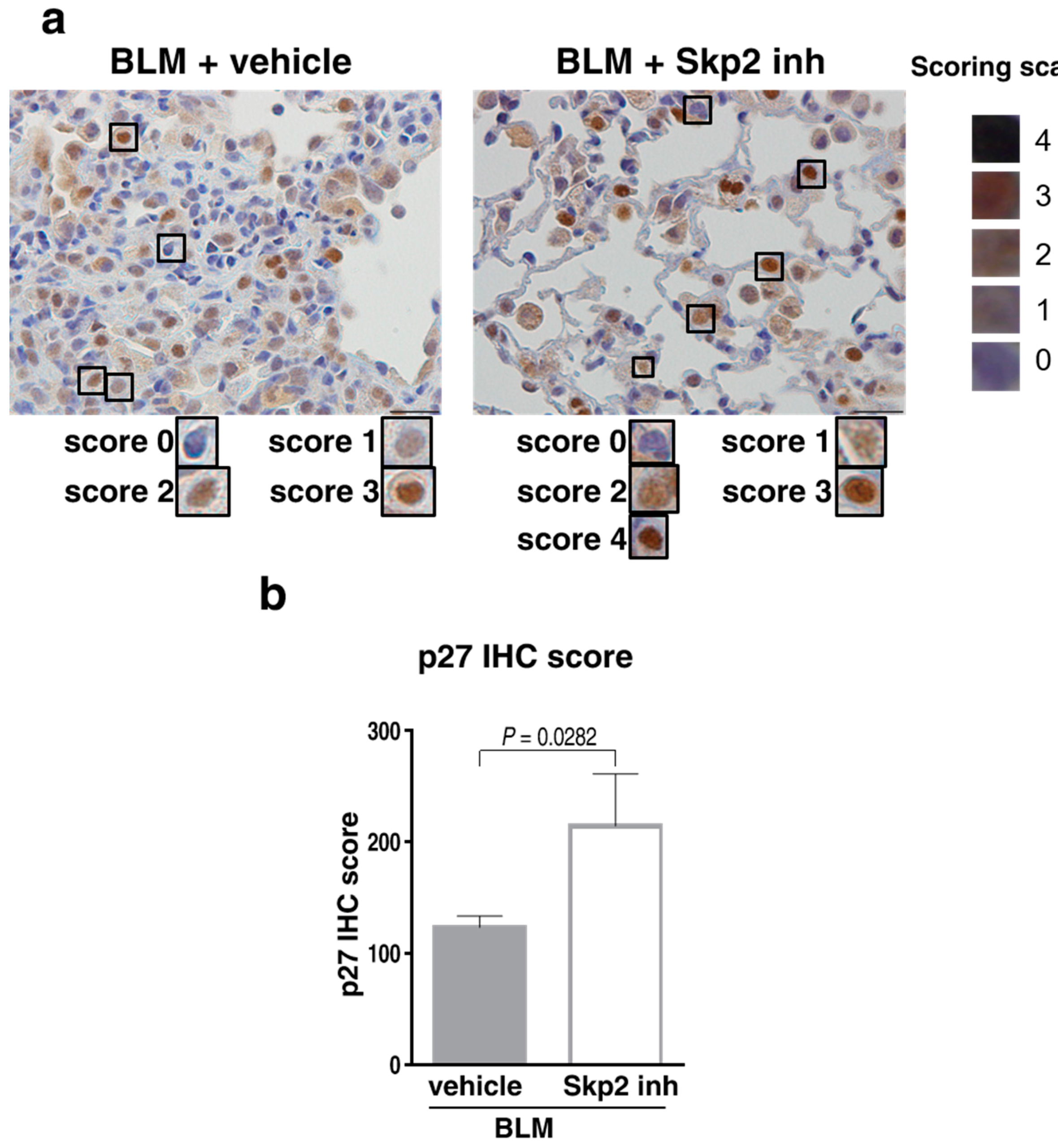 Ijms 19 00474 g007 Ijms 19 00474 g007