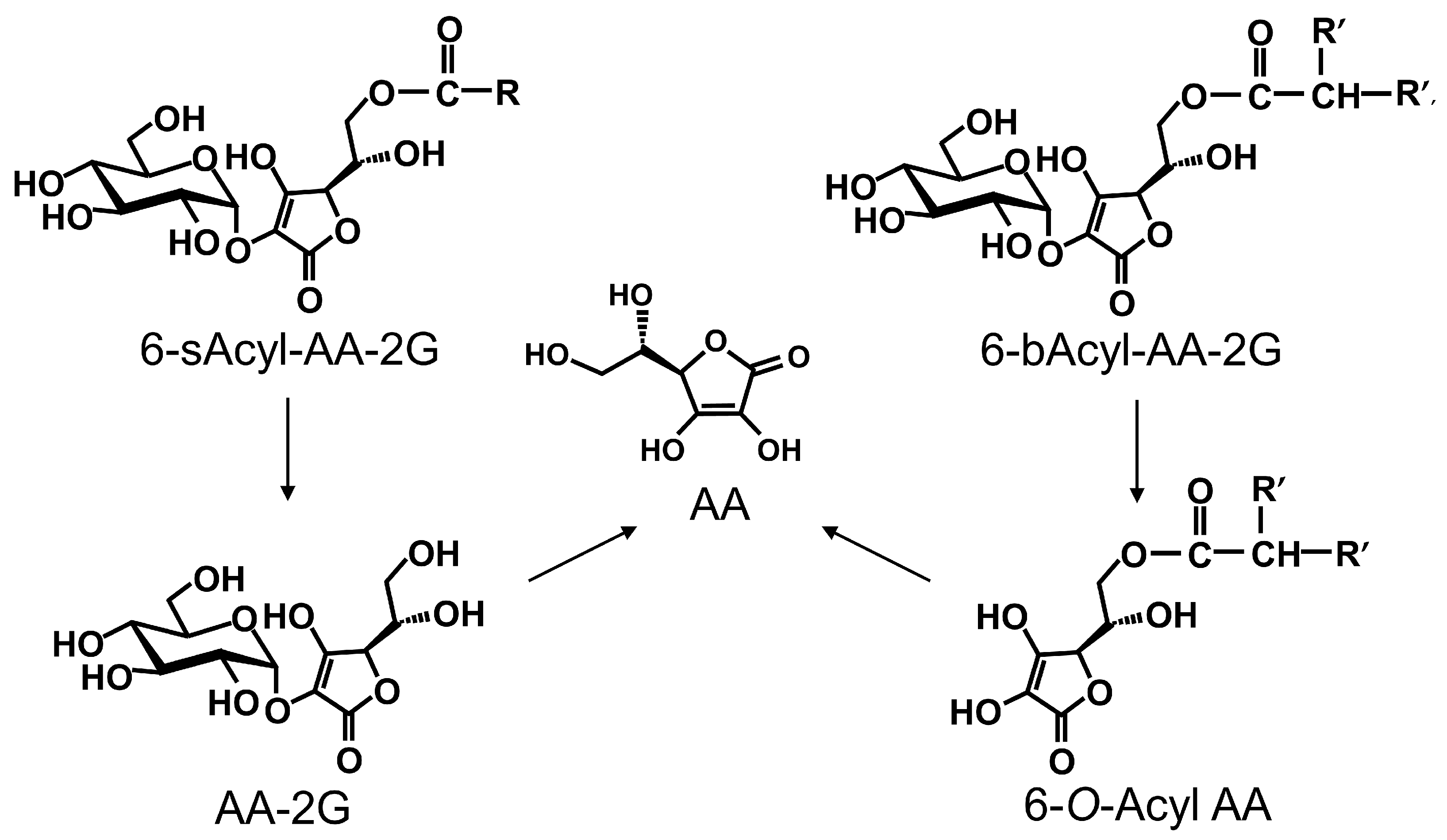 Ijms 19 00535 g005 Ijms 19 00535 g005