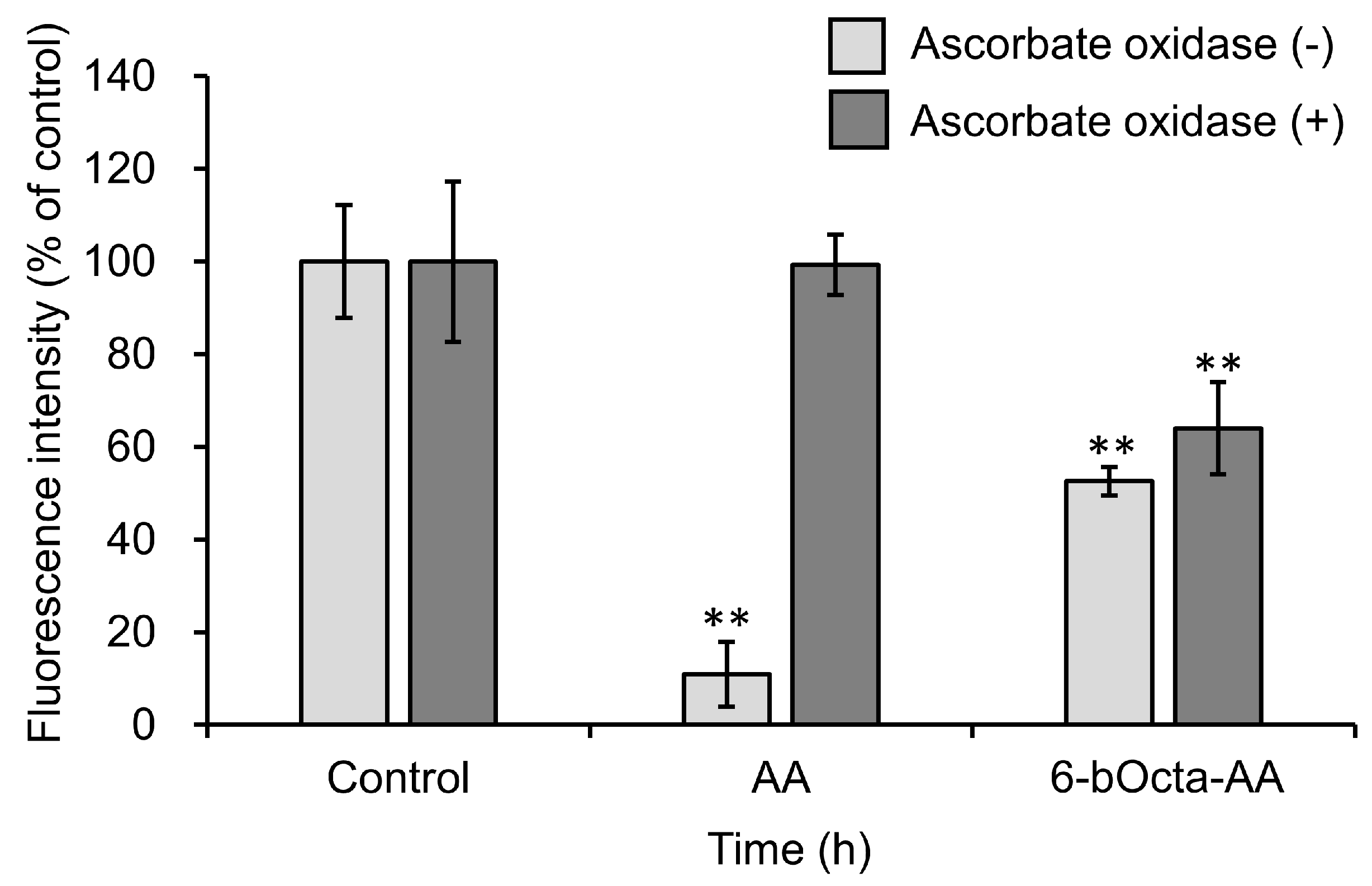 Ijms 19 00535 g008 Ijms 19 00535 g008