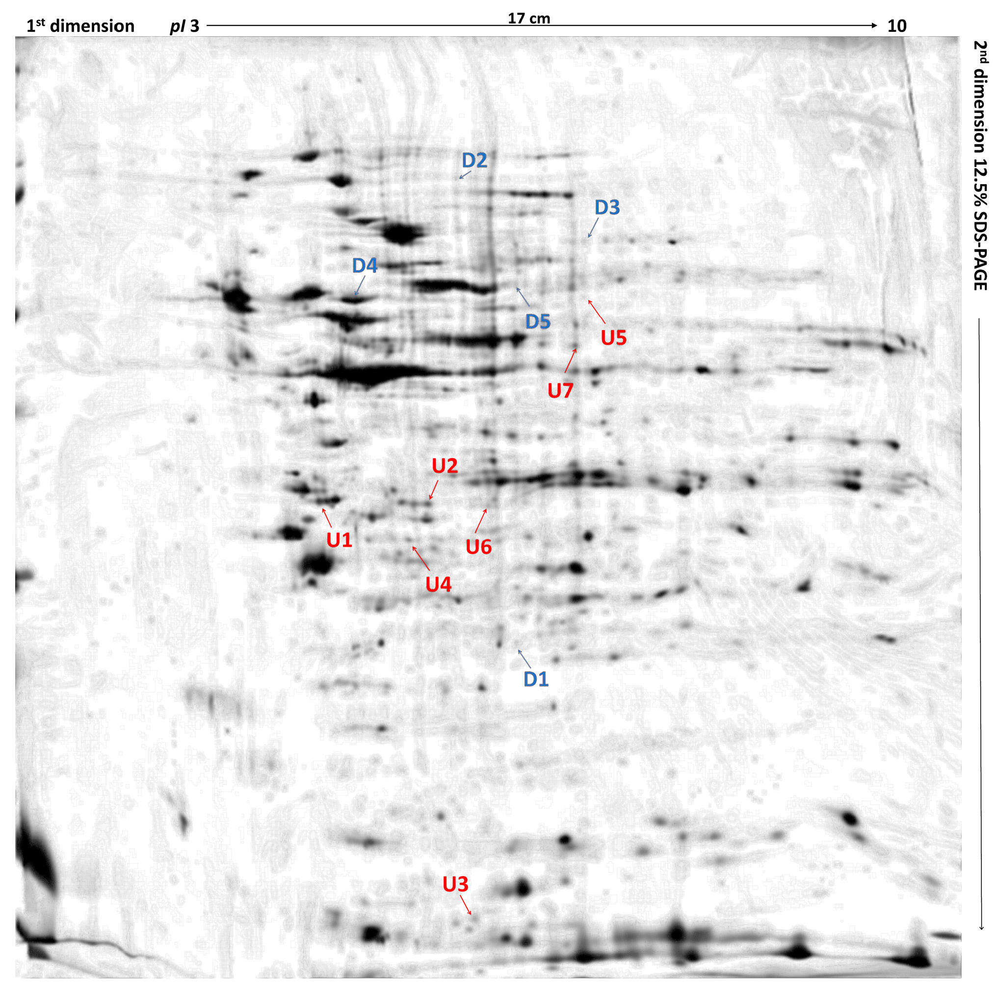Ijms 19 00576 g001 Ijms 19 00576 g001