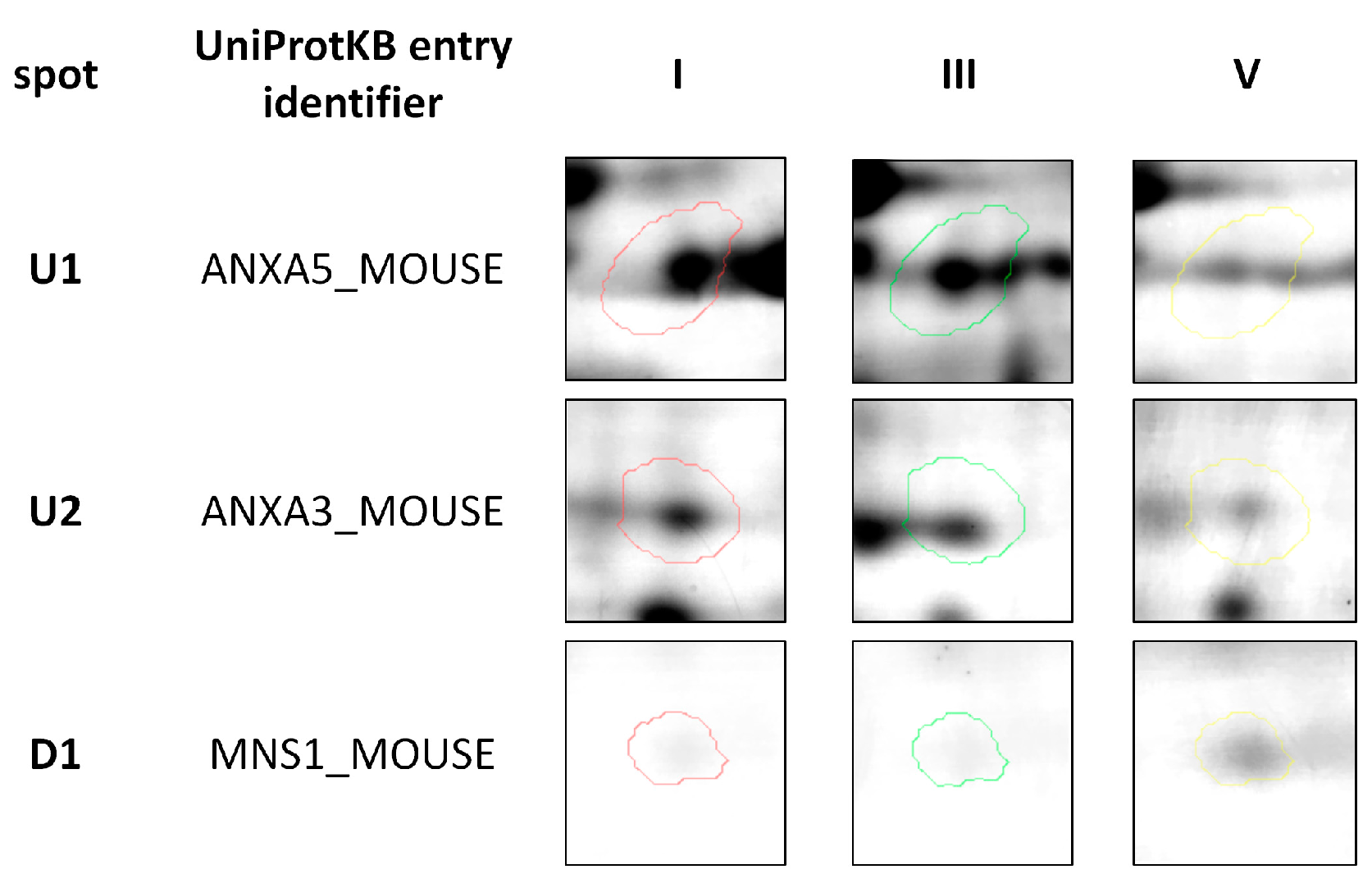 Ijms 19 00576 g002 Ijms 19 00576 g002