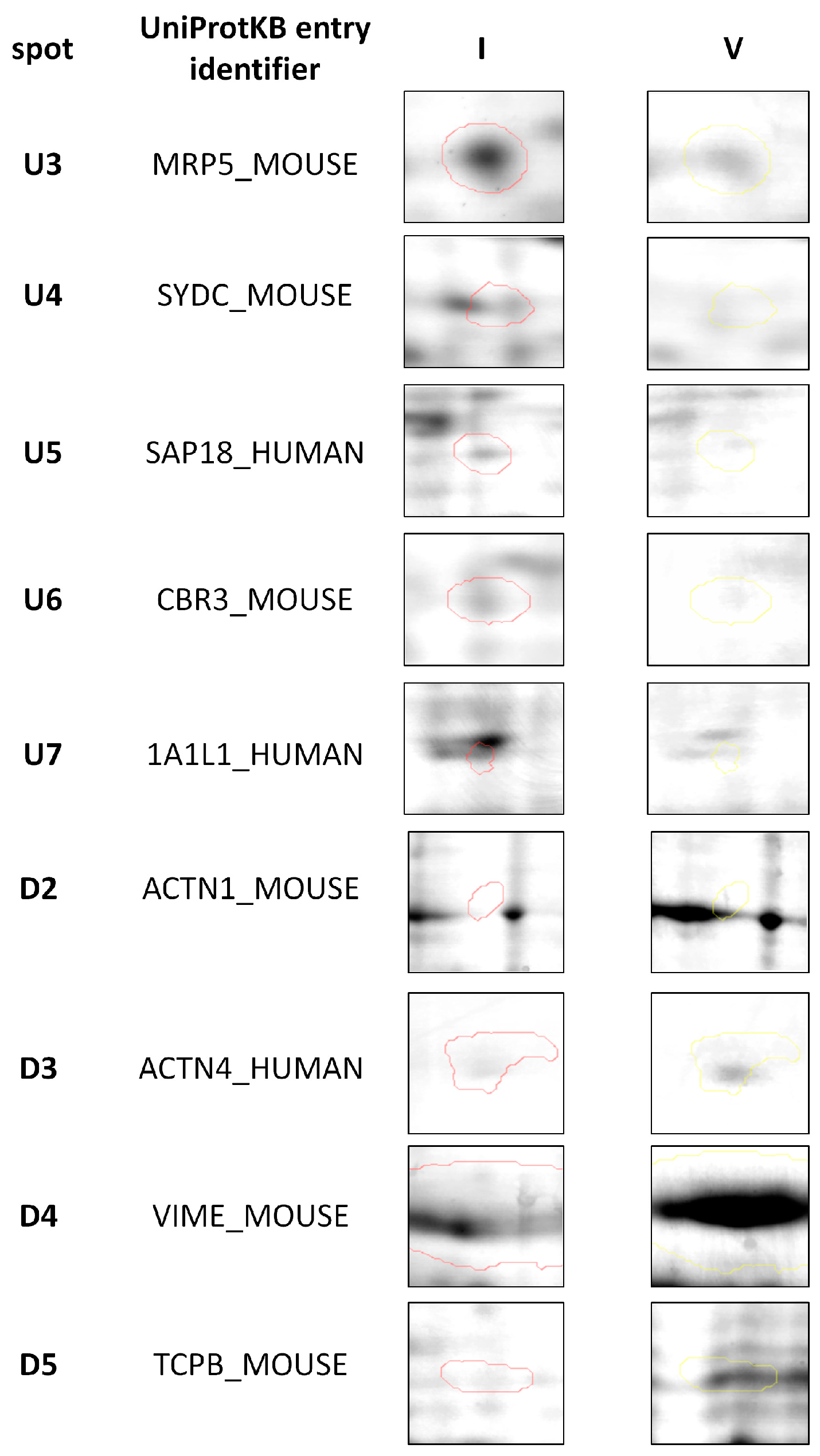 Ijms 19 00576 g003 Ijms 19 00576 g003