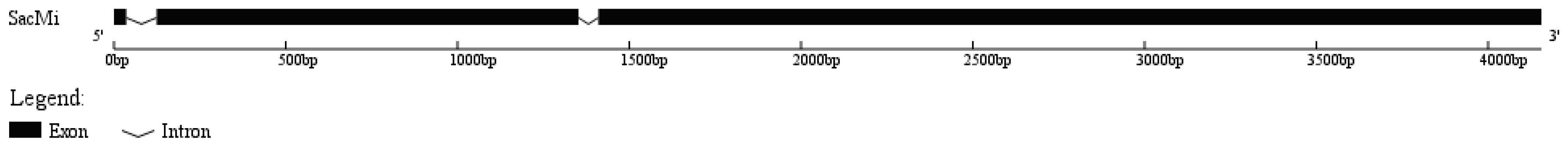 Ijms 19 00583 g001