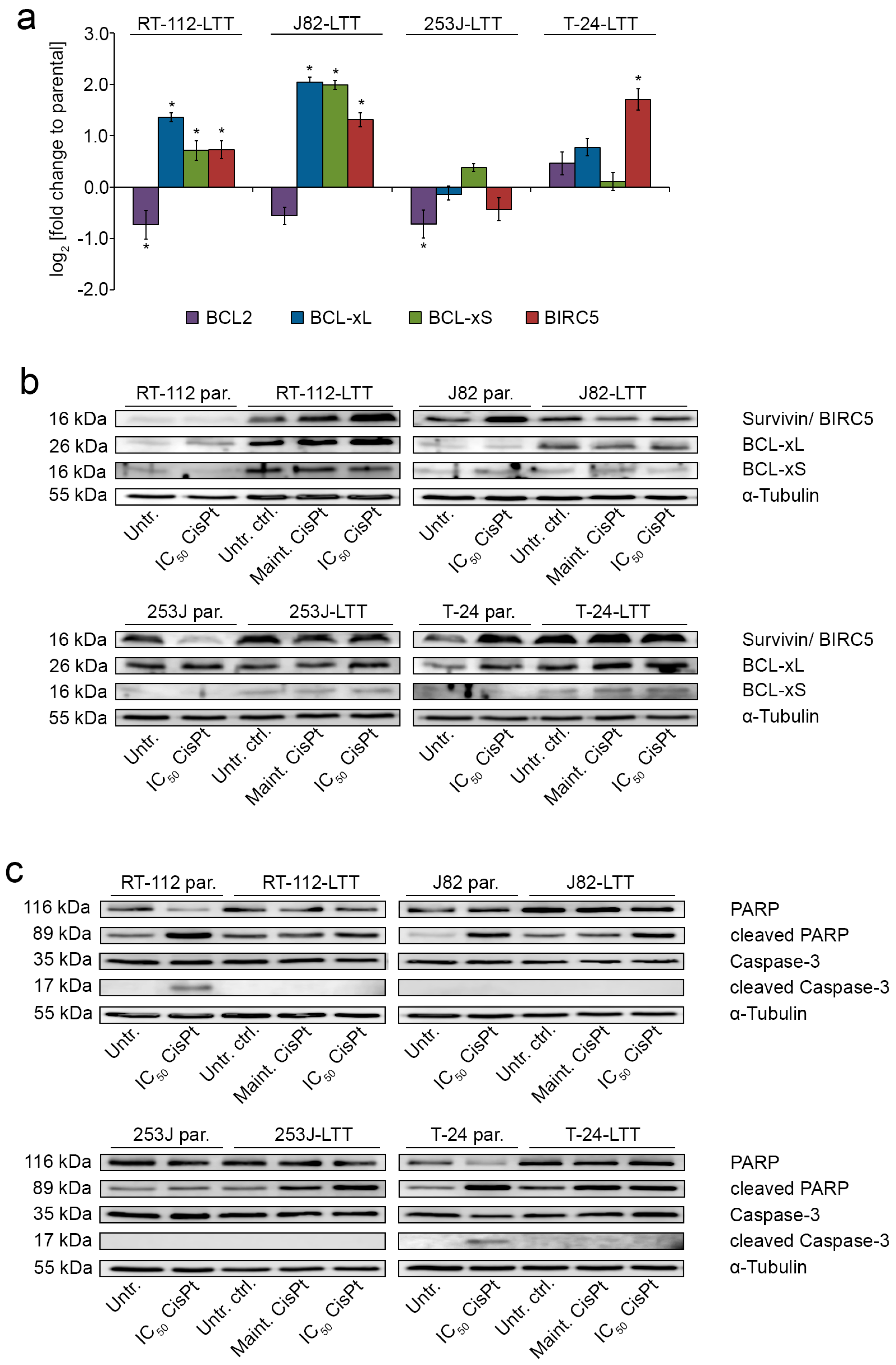 Ijms 19 00590 g004a