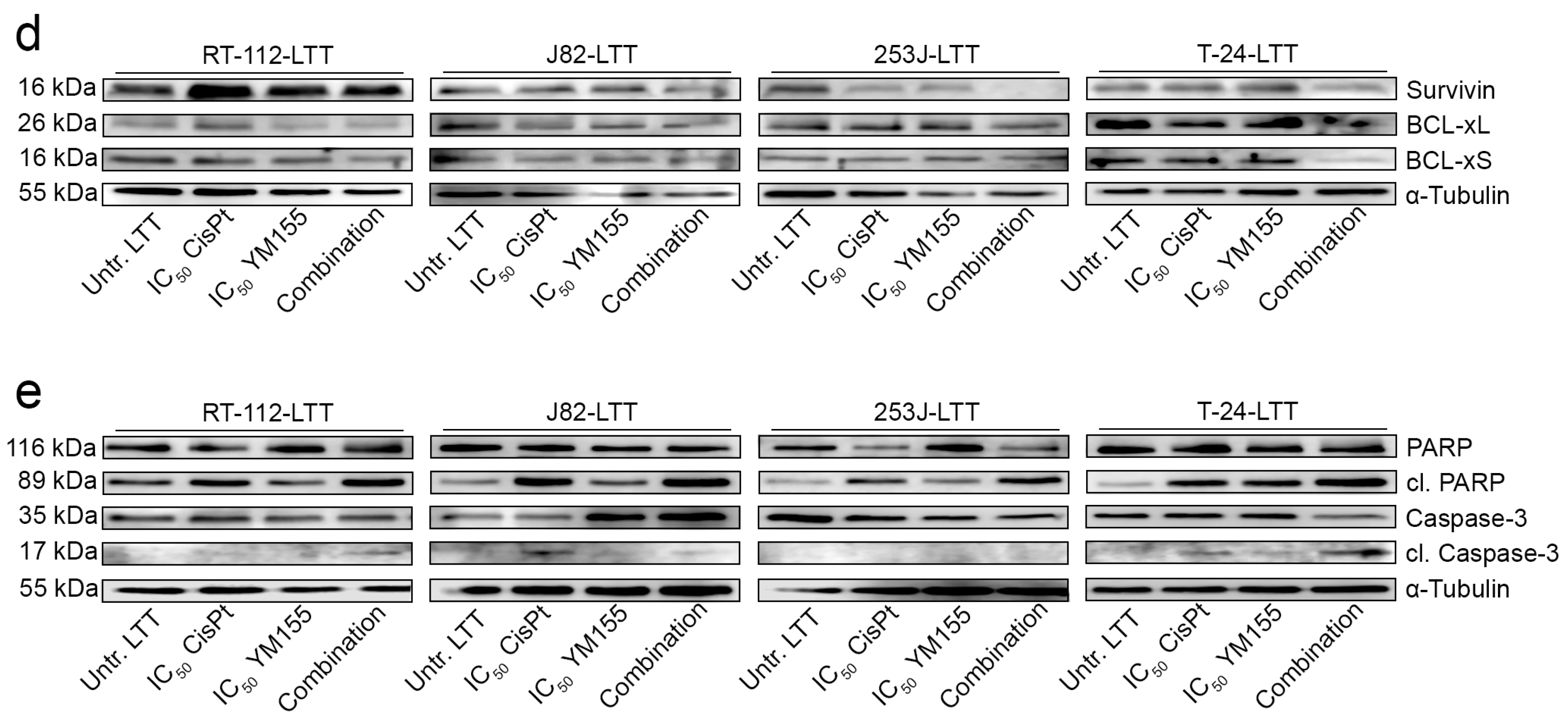 Ijms 19 00590 g005b