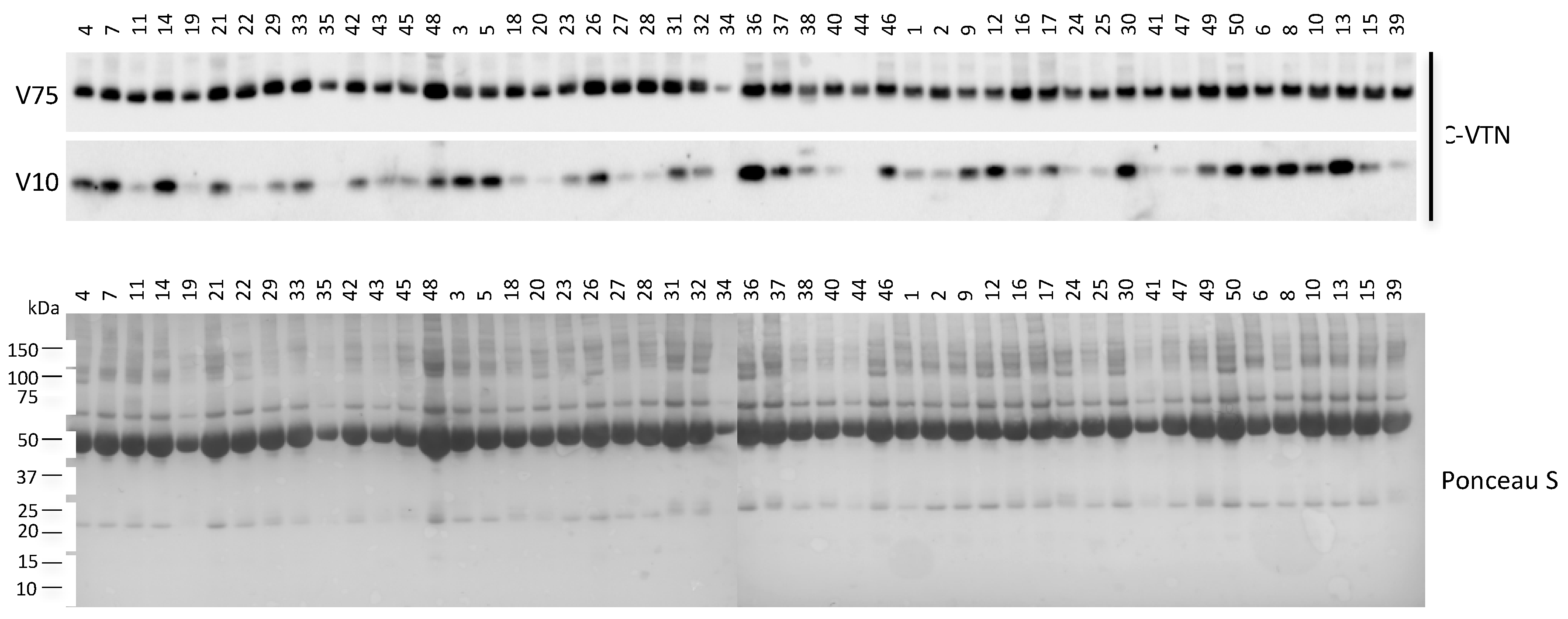 Ijms 19 00603 g002