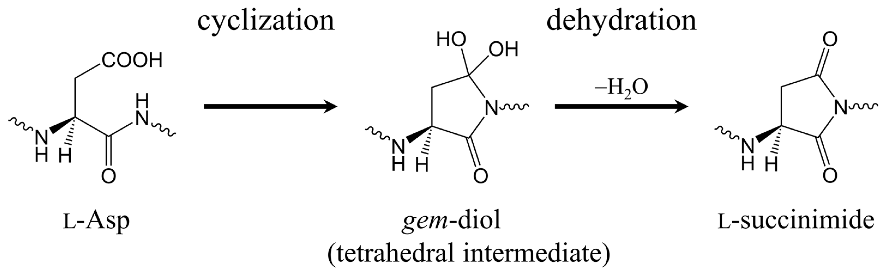 Ijms 19 00637 sch002 Ijms 19 00637 sch002