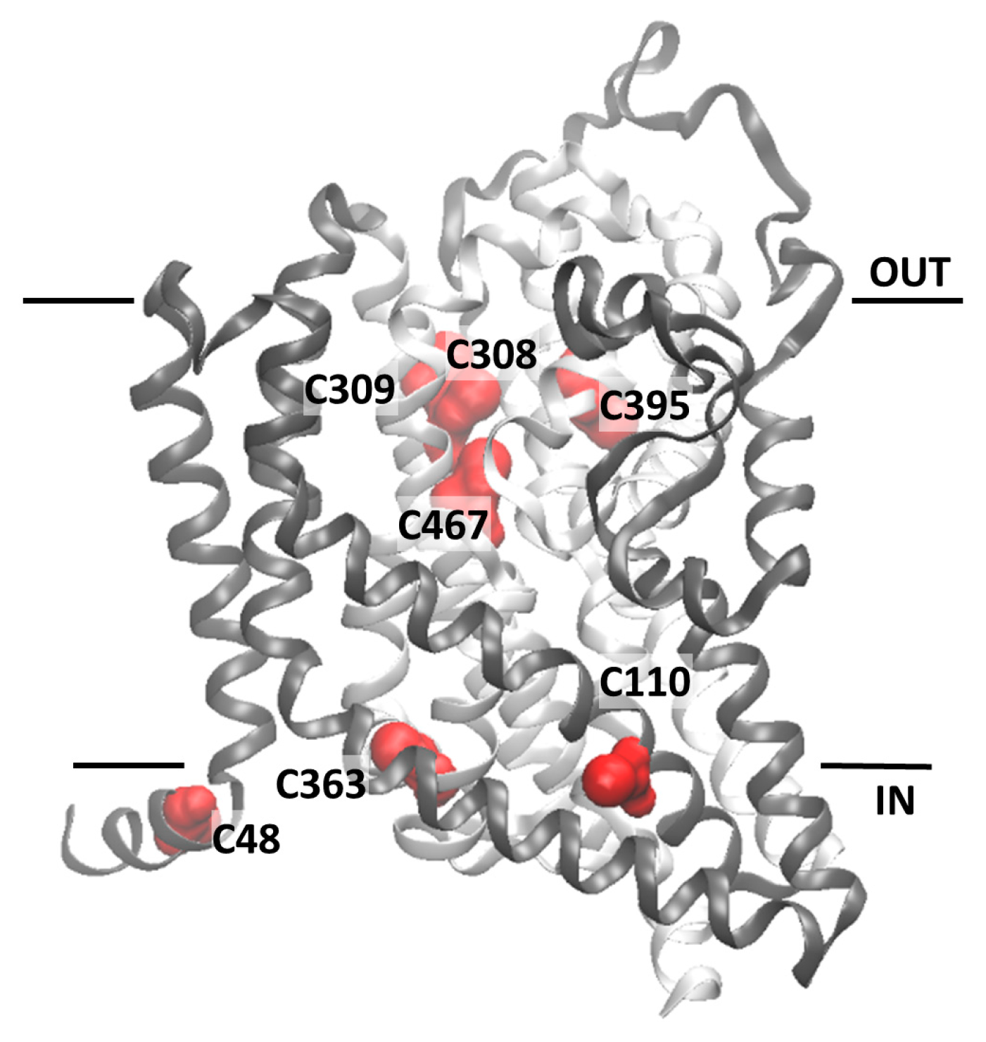 Ijms 19 00648 g005
