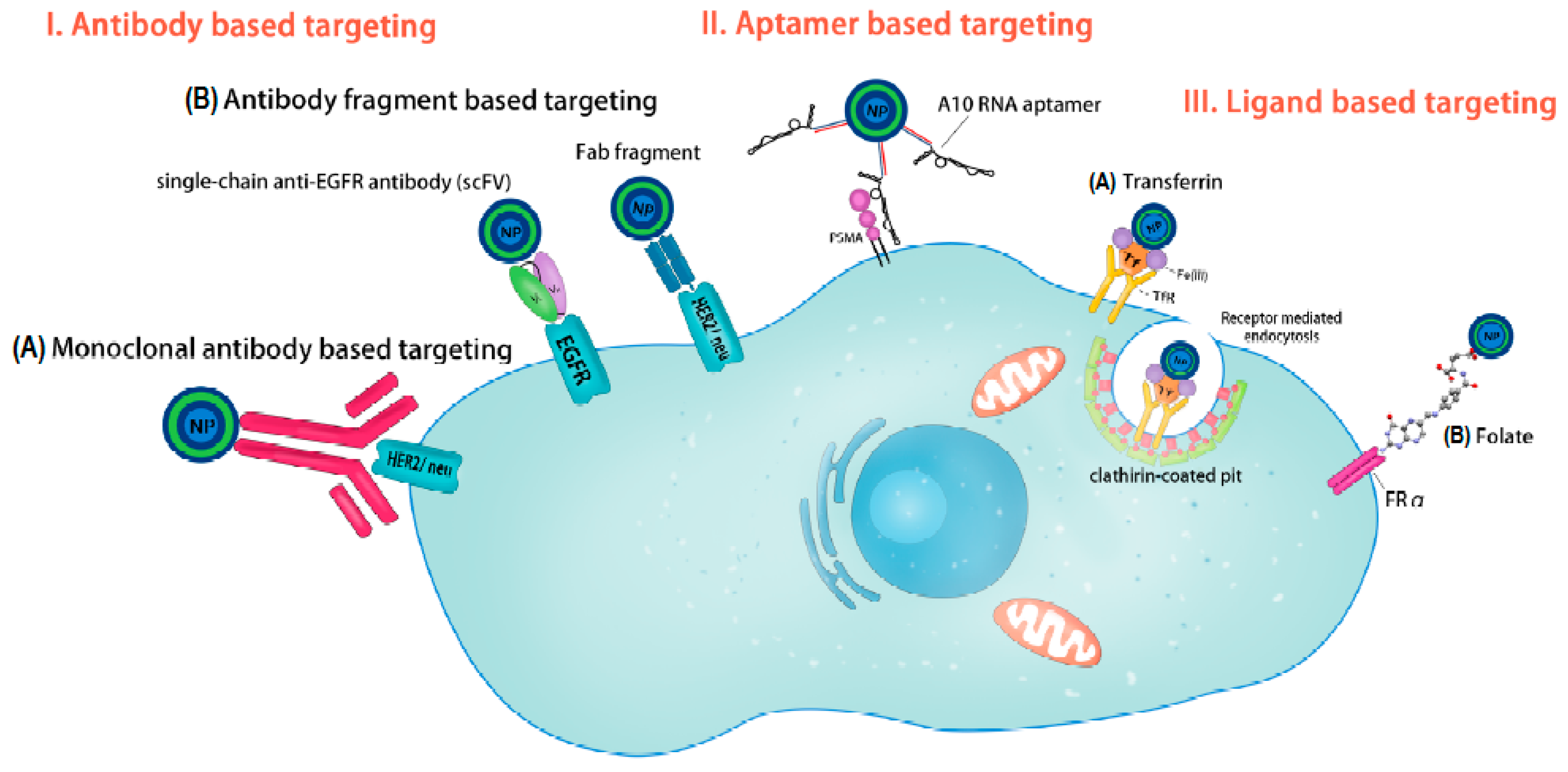 Ijms 19 00731 g001 Ijms 19 00731 g001