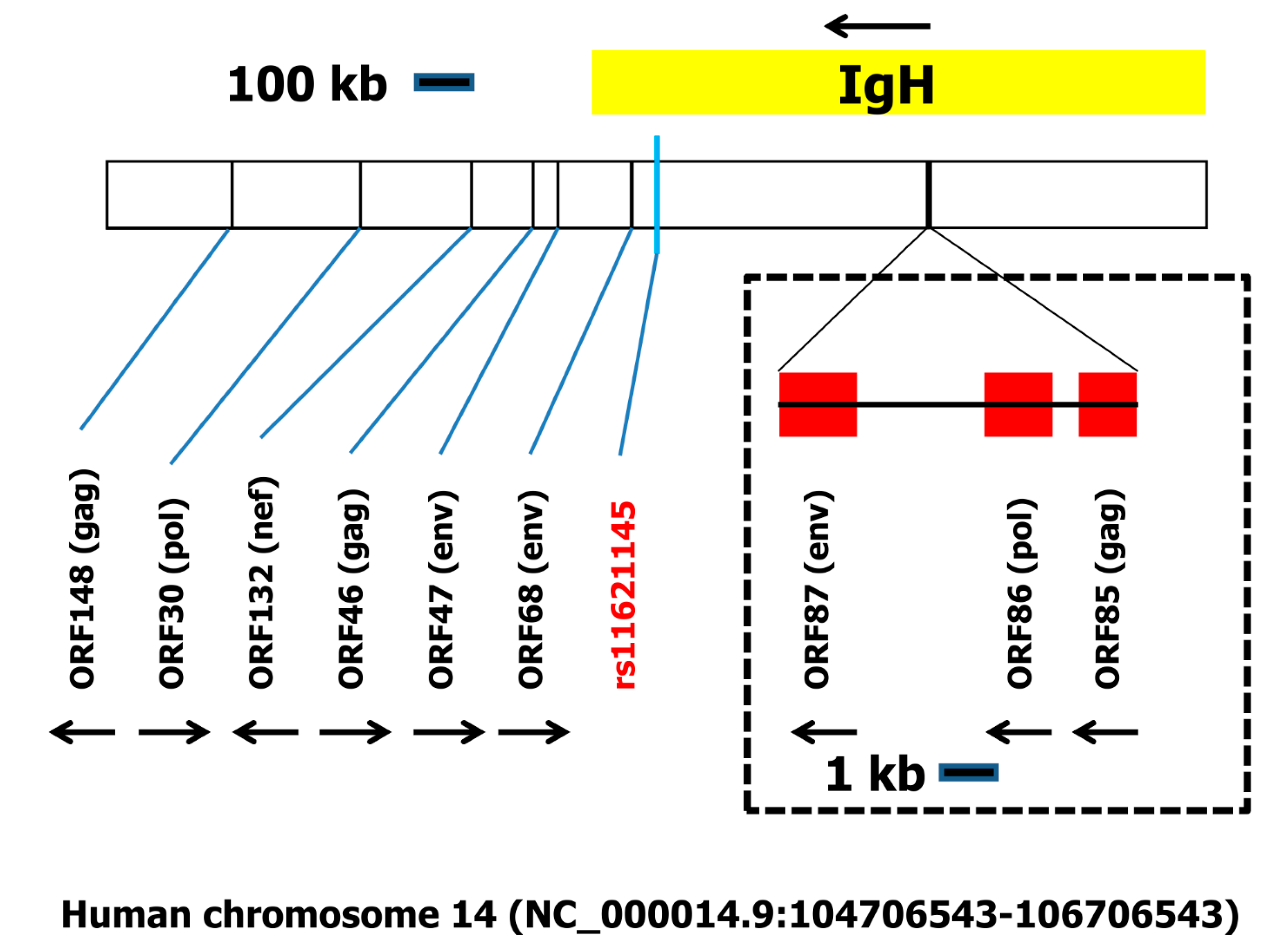 Ijms 19 00786 g003 Ijms 19 00786 g003