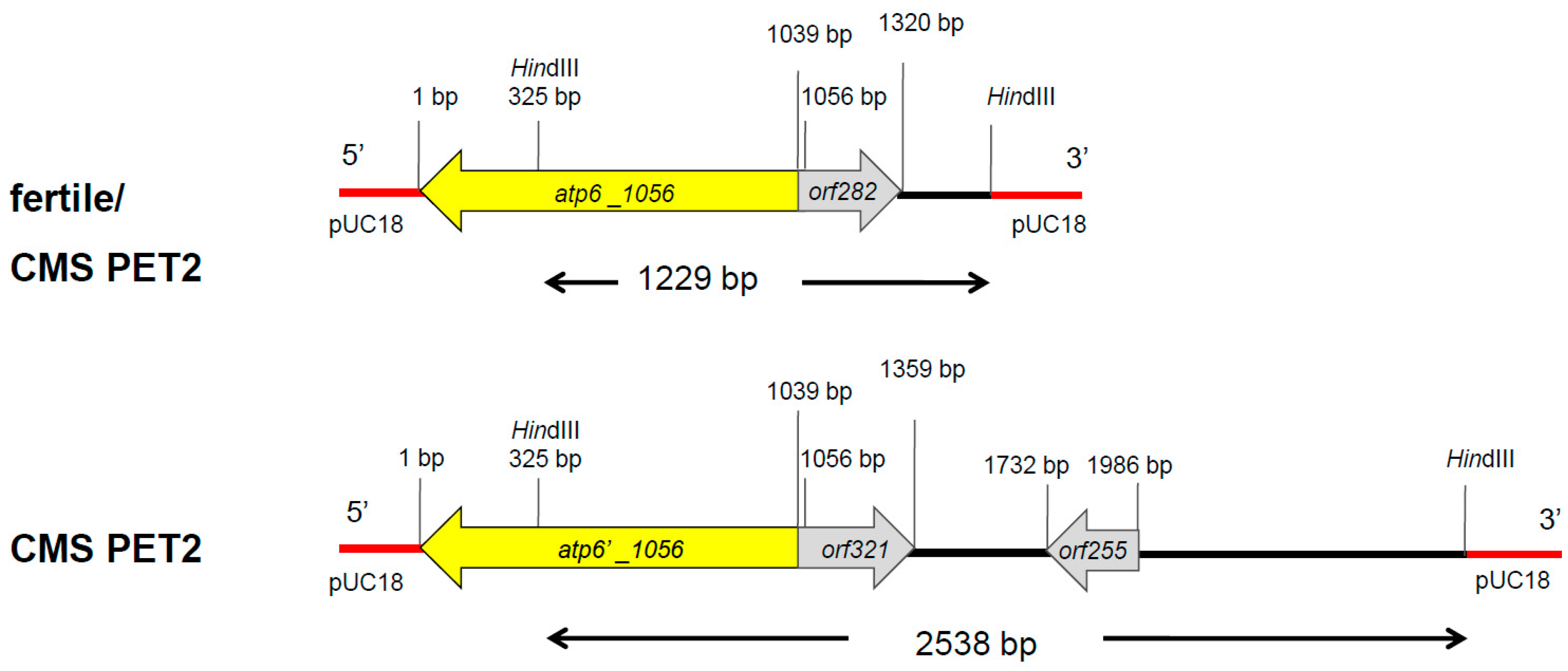 Ijms 19 00806 g003 Ijms 19 00806 g003