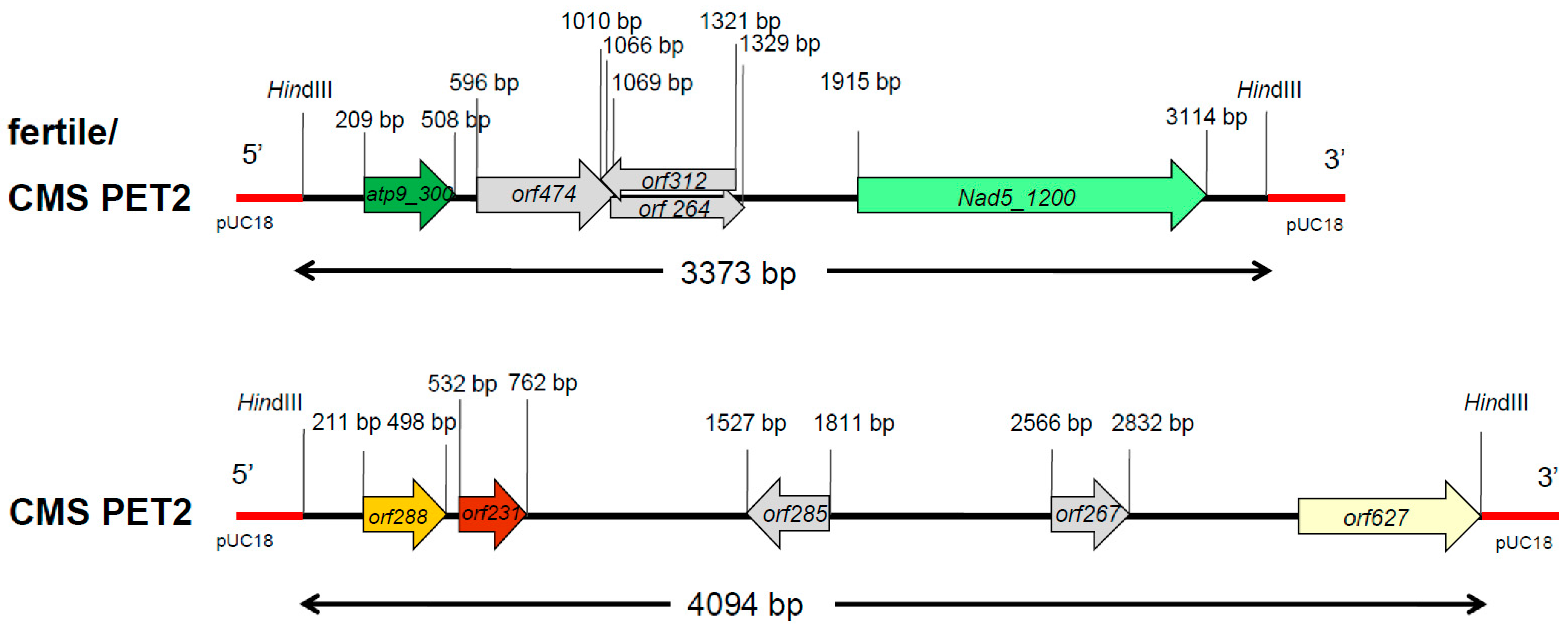 Ijms 19 00806 g004 Ijms 19 00806 g004