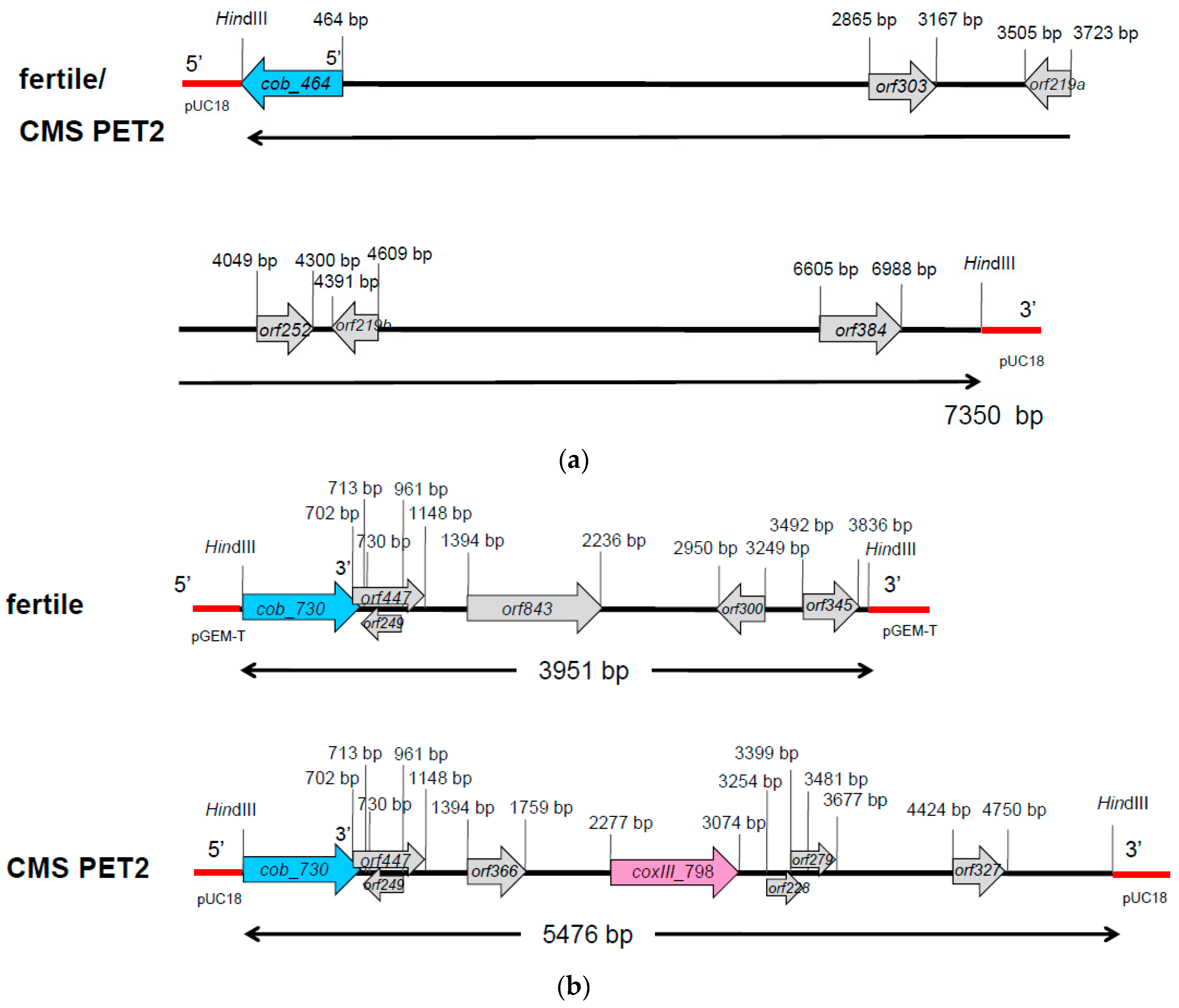 Ijms 19 00806 g005 Ijms 19 00806 g005