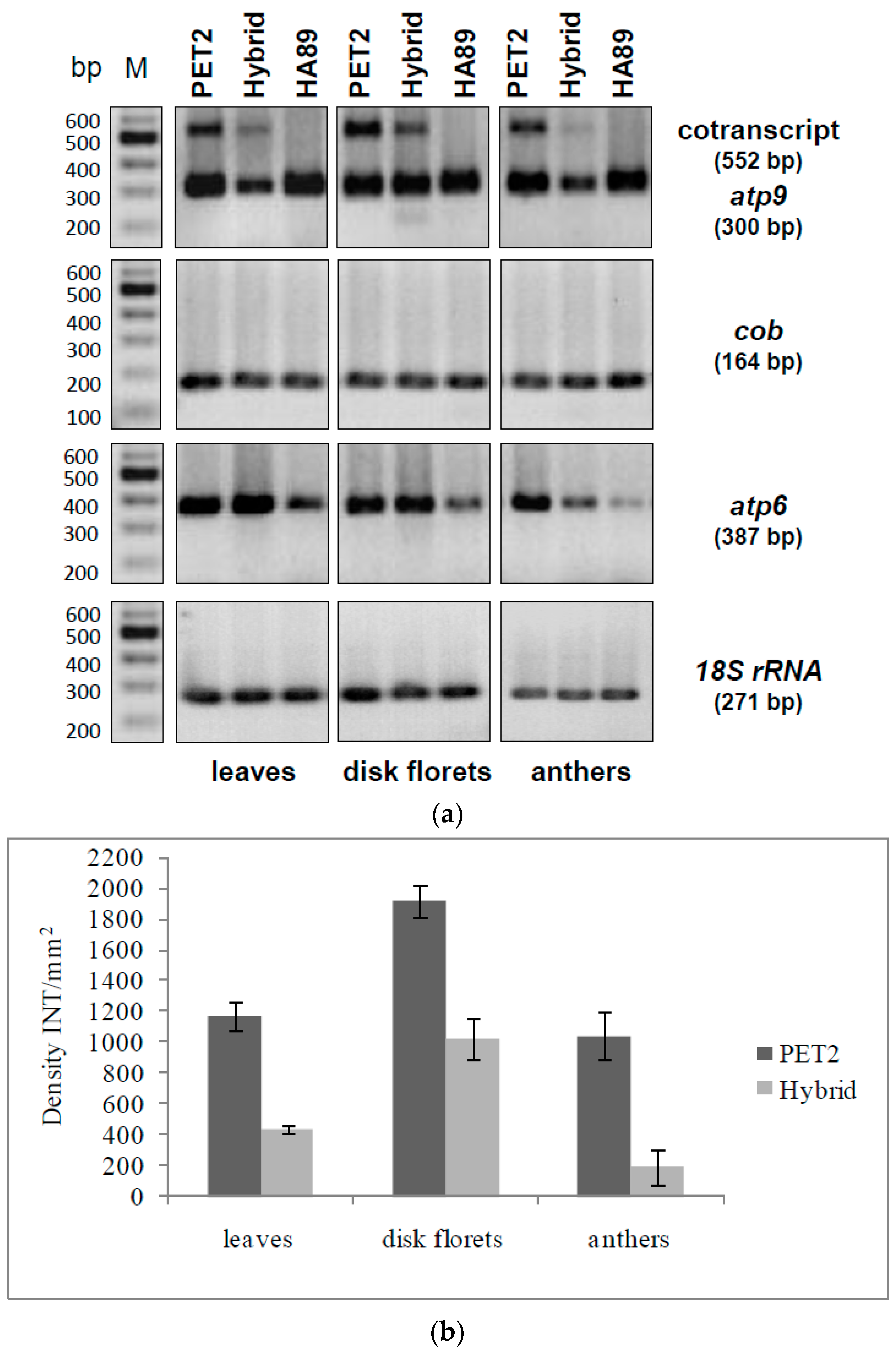 Ijms 19 00806 g007 Ijms 19 00806 g007