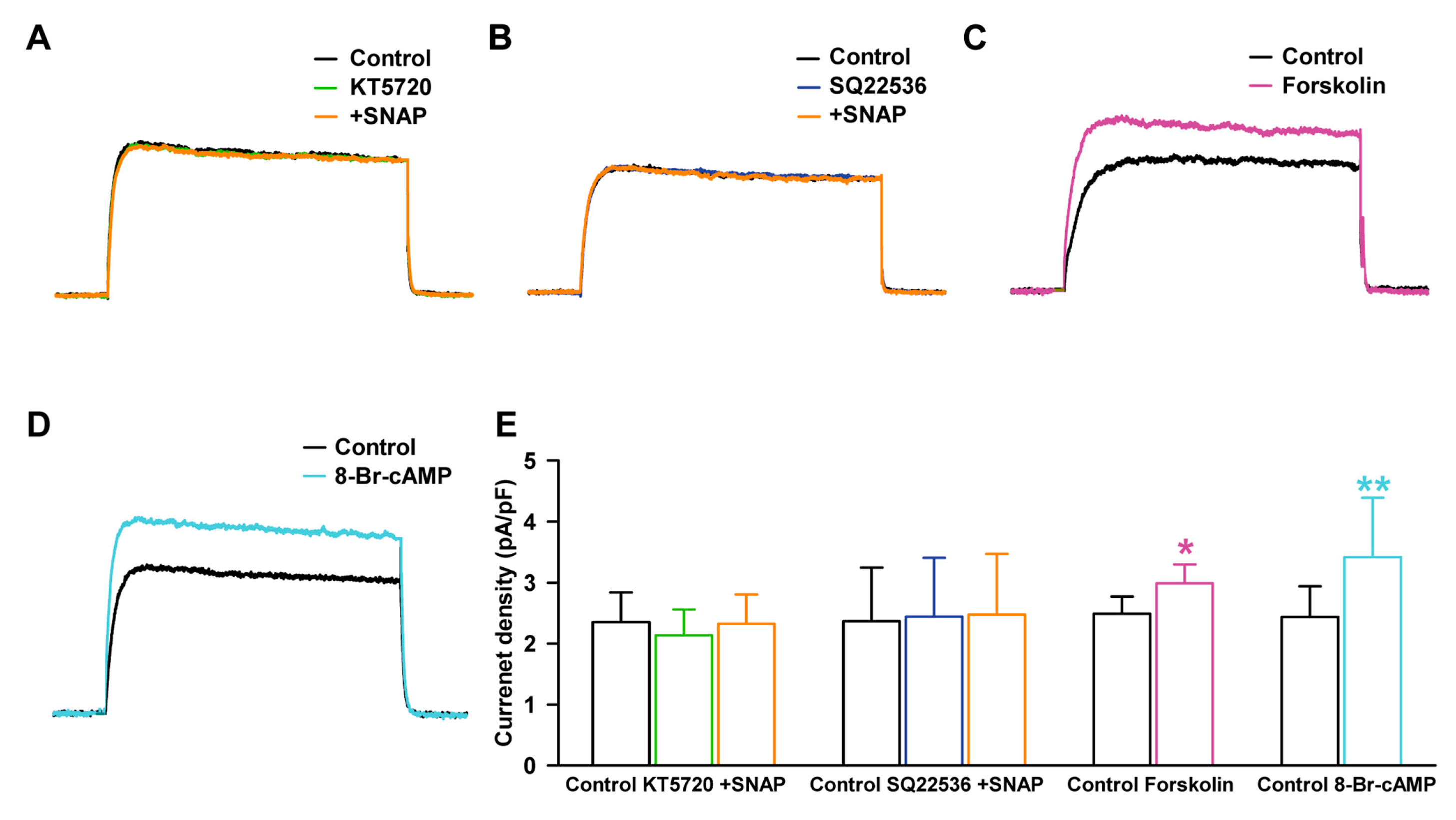 Ijms 19 00814 g006 Ijms 19 00814 g006