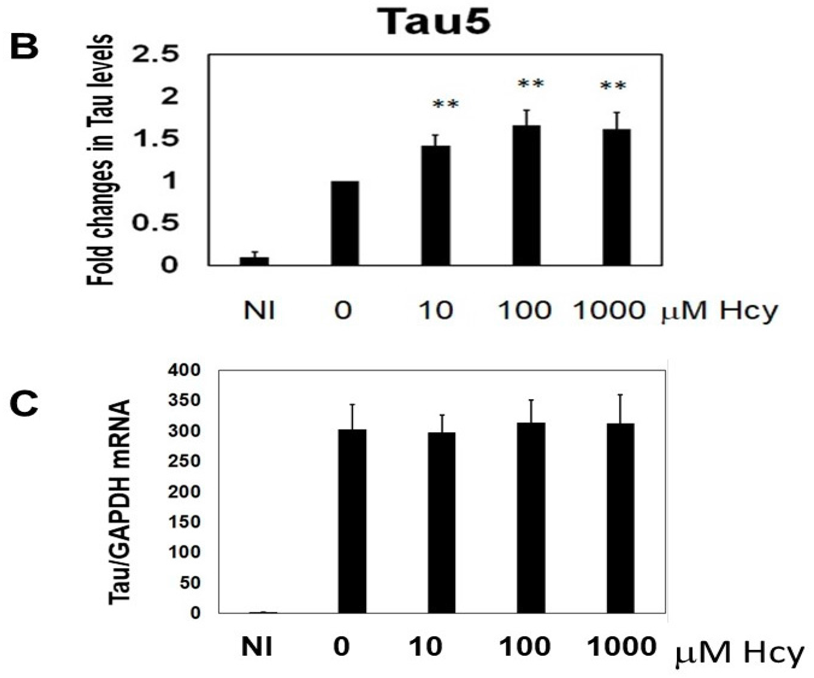 Ijms 19 00891 g002b Ijms 19 00891 g002b