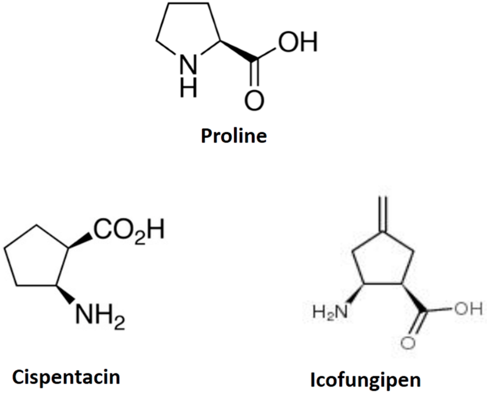Ijms 19 00909 g001 Ijms 19 00909 g001