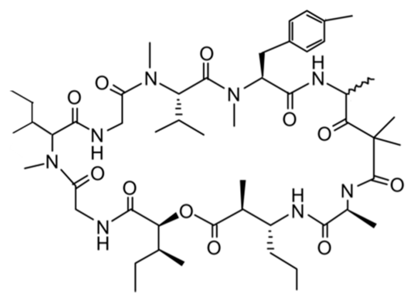 Ijms 19 00919 g006 Ijms 19 00919 g006