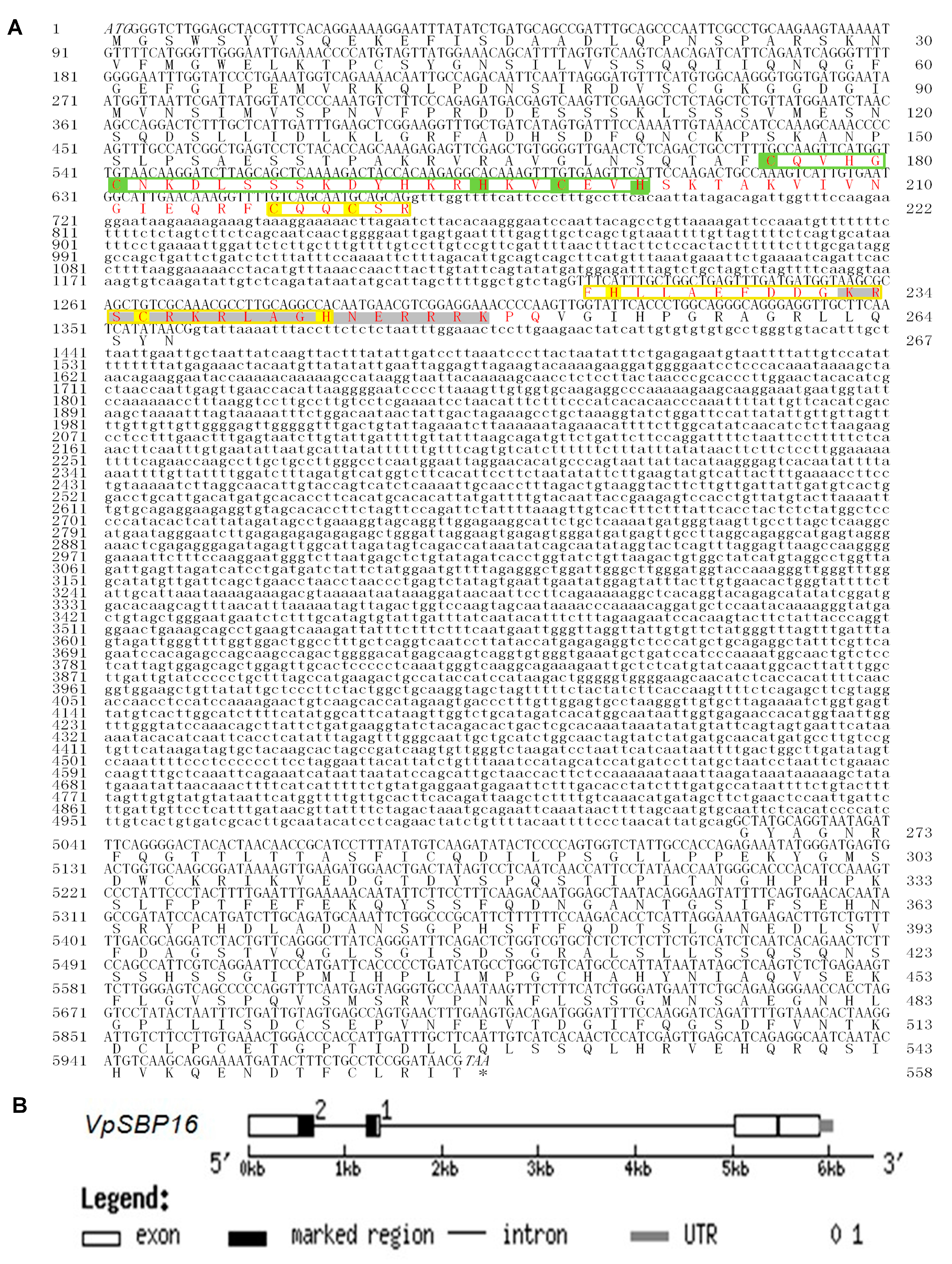 Ijms 19 00940 g002