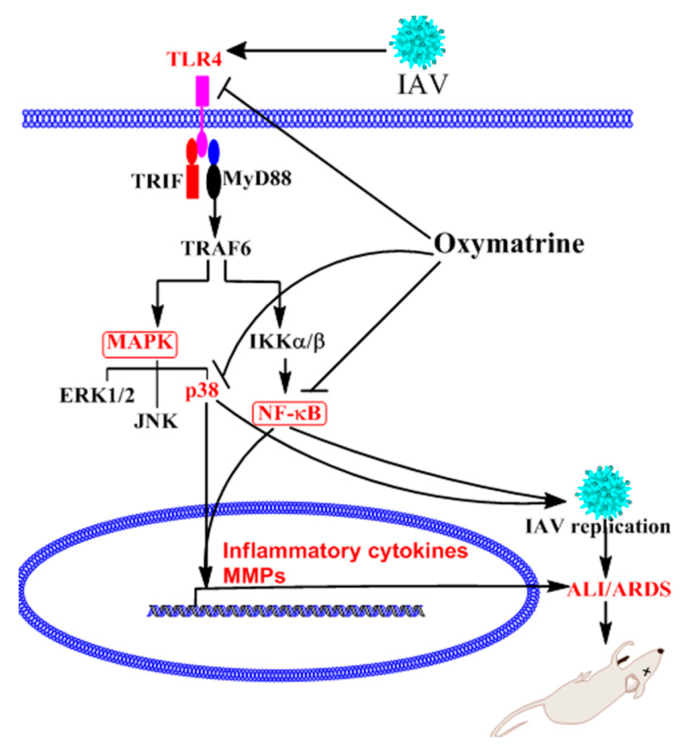 Ijms 19 00965 g009
