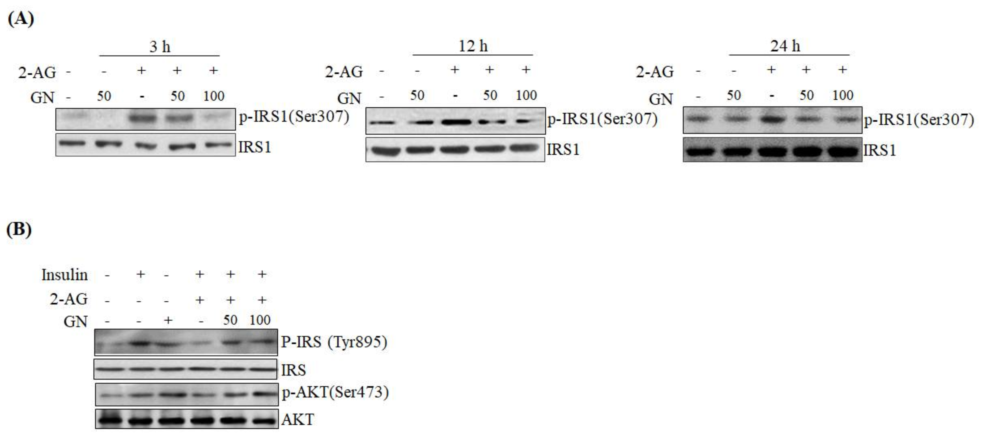 Ijms 19 00968 g003