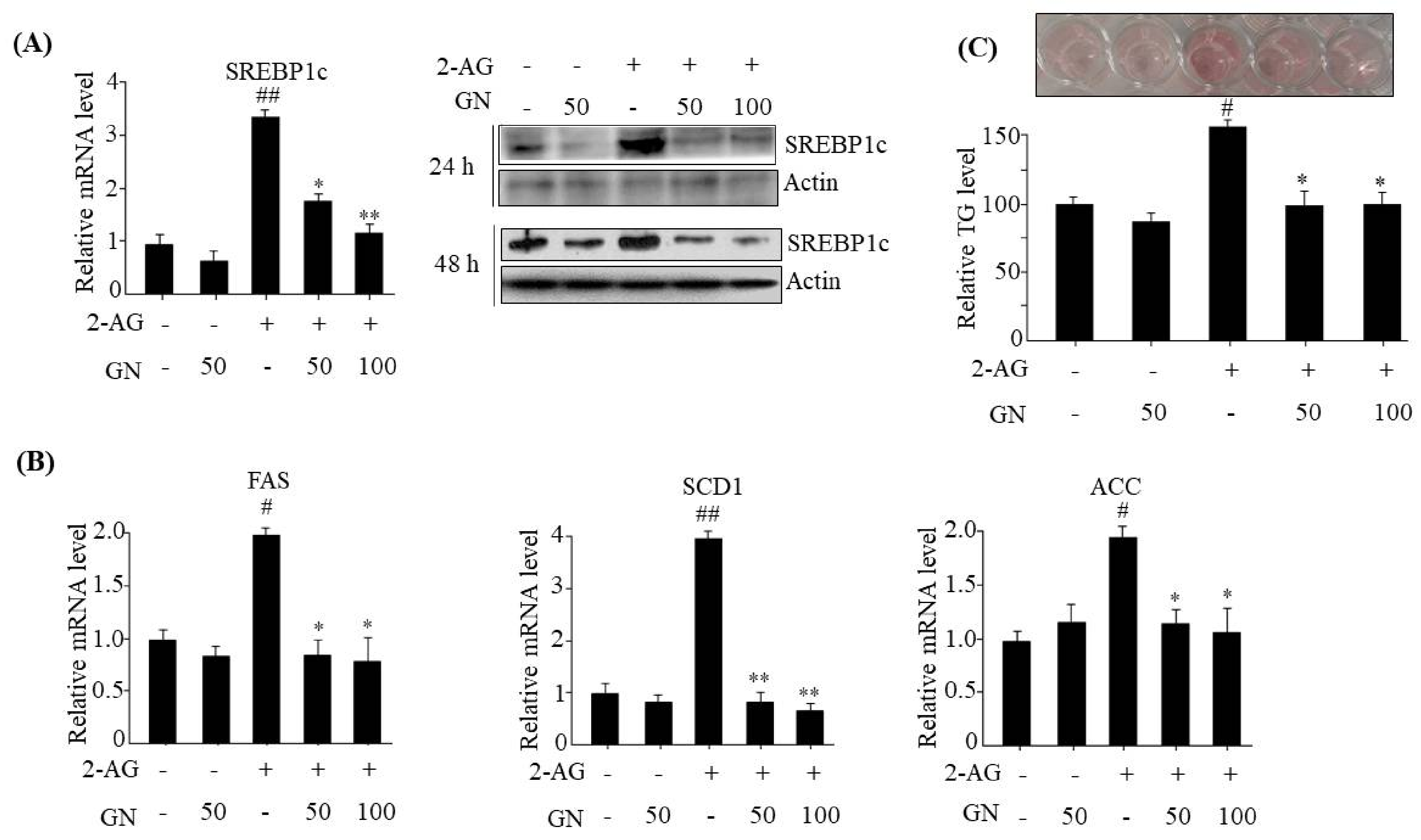 Ijms 19 00968 g004