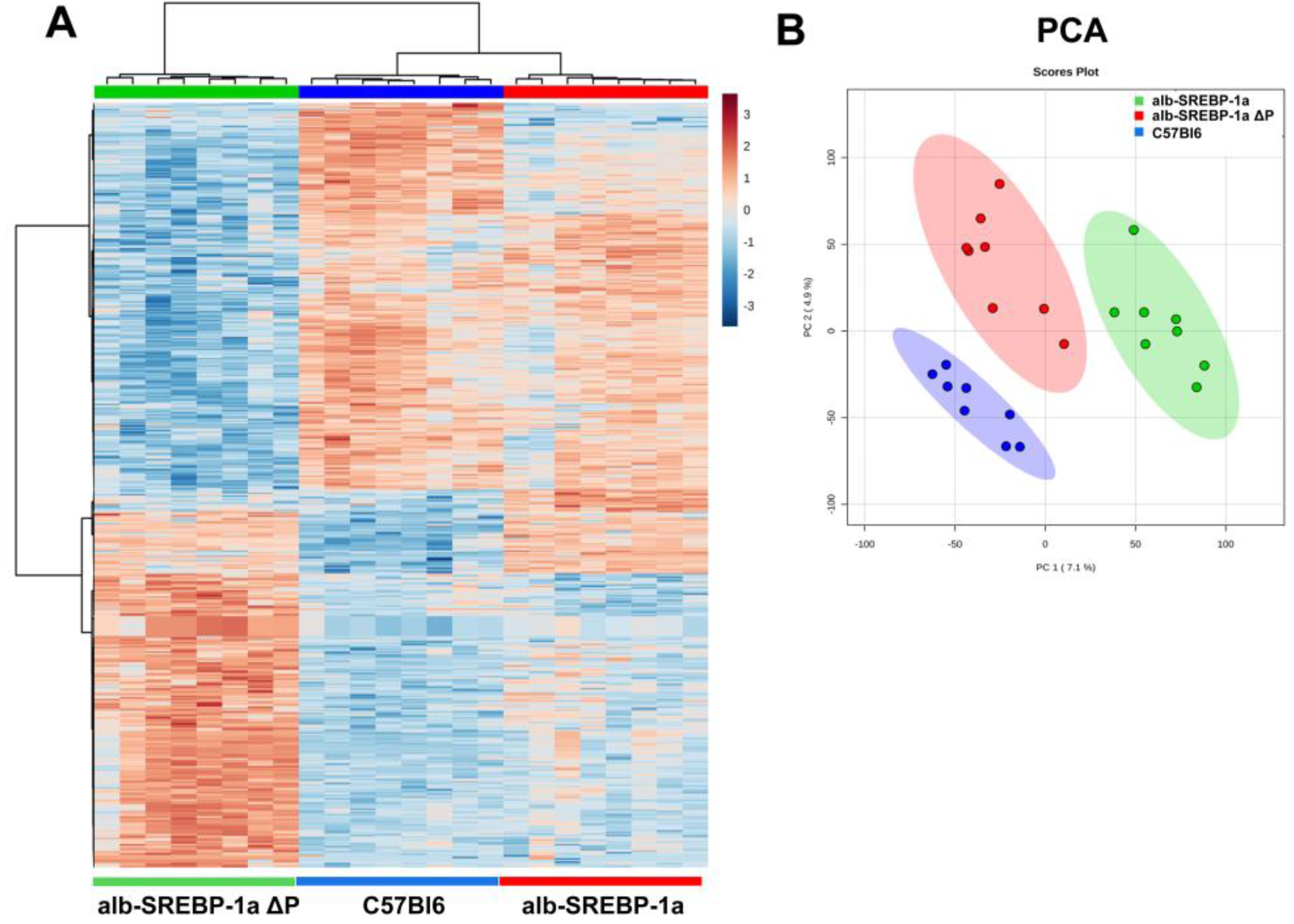 Ijms 19 00980 g003 Ijms 19 00980 g003