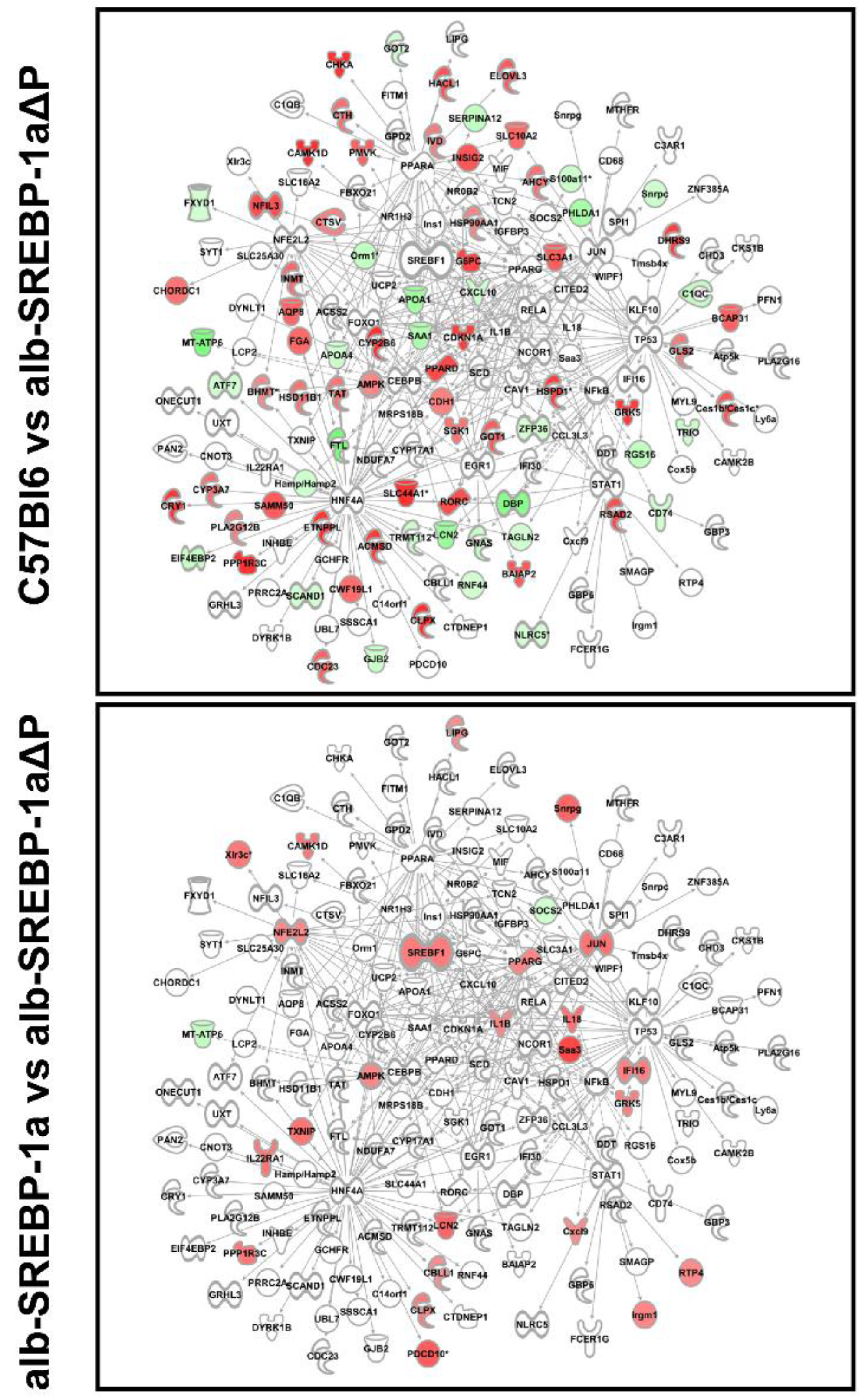 Ijms 19 00980 g004b Ijms 19 00980 g004b