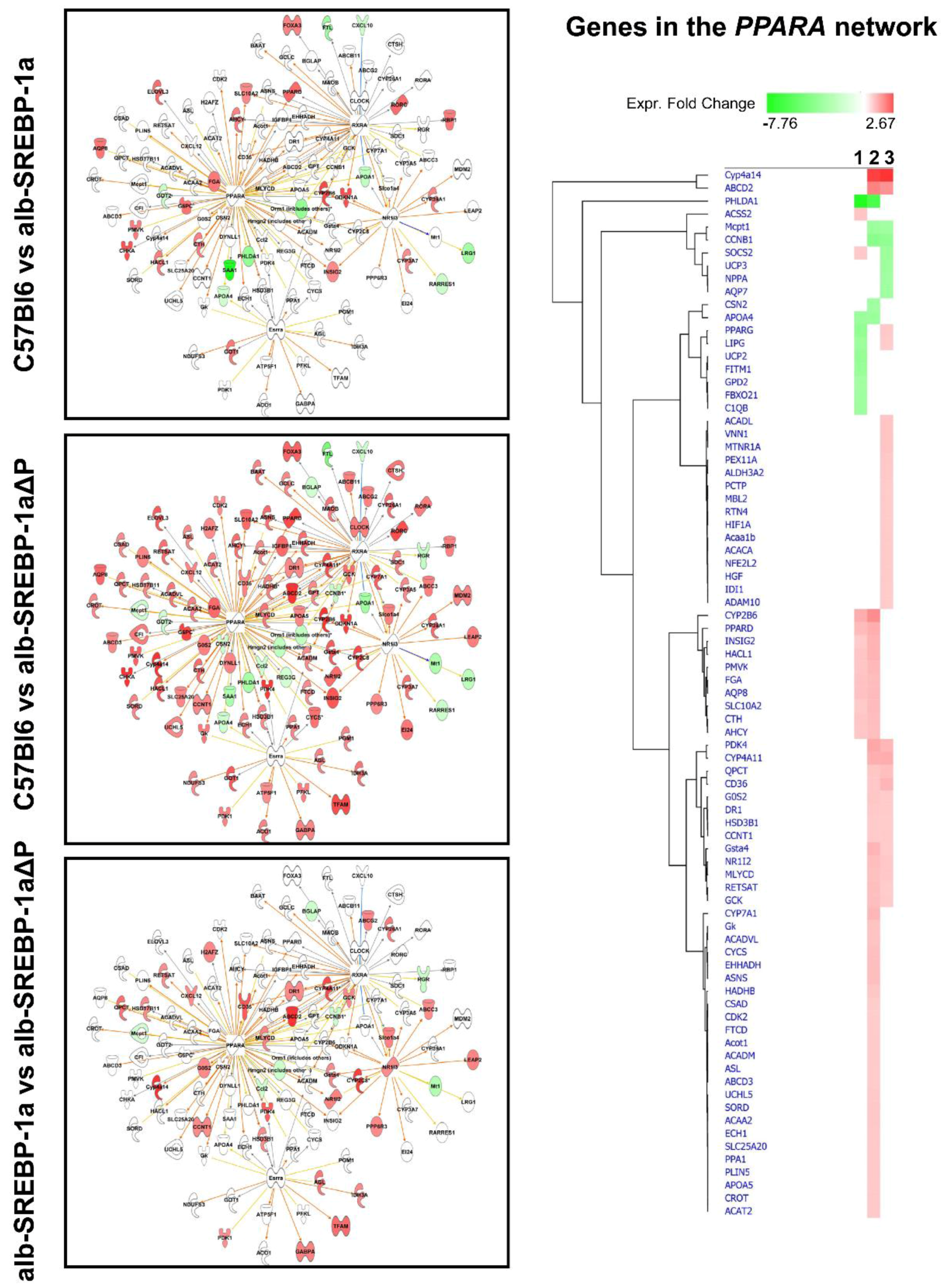 Ijms 19 00980 g005a Ijms 19 00980 g005a
