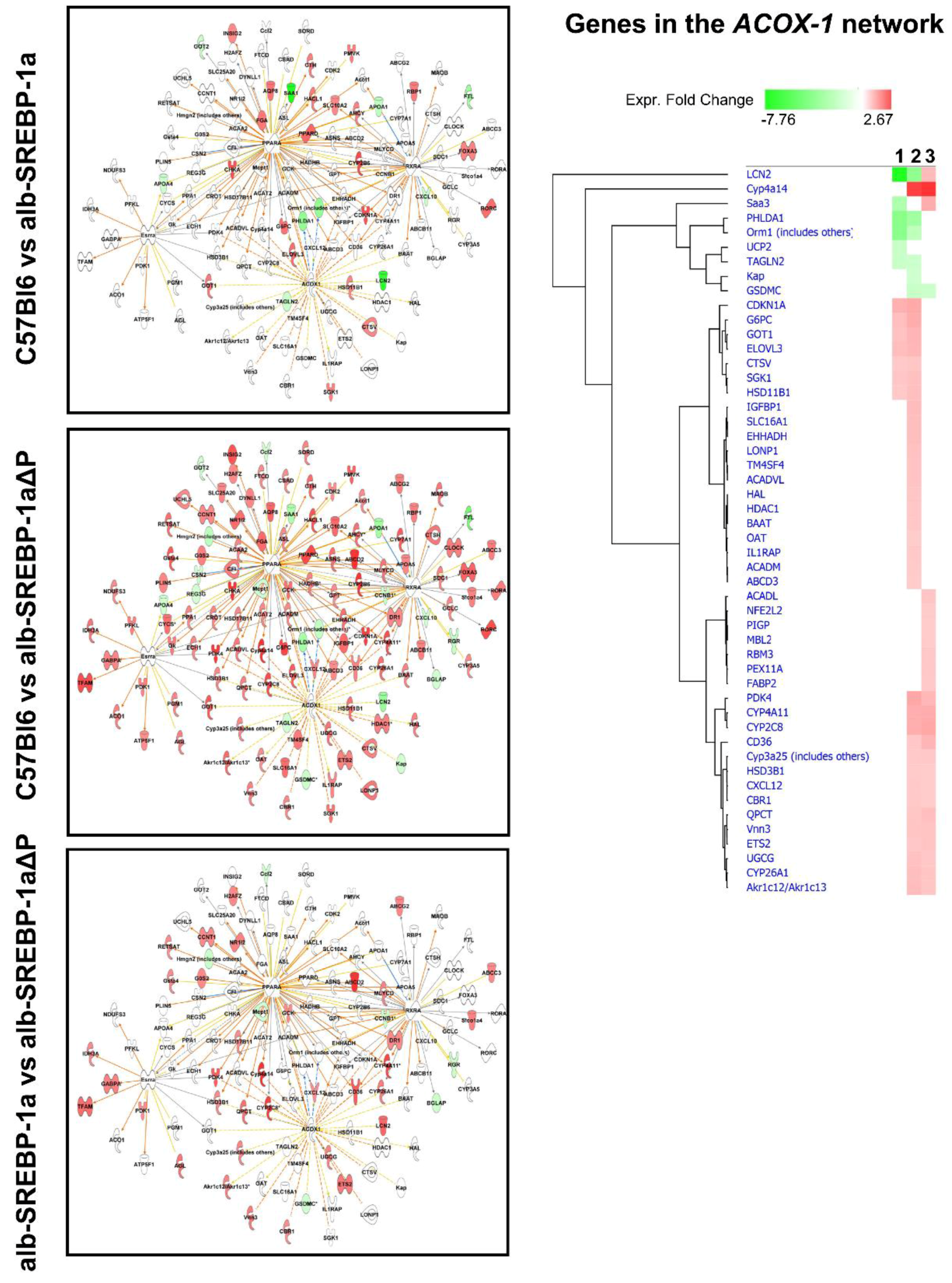 Ijms 19 00980 g005b Ijms 19 00980 g005b