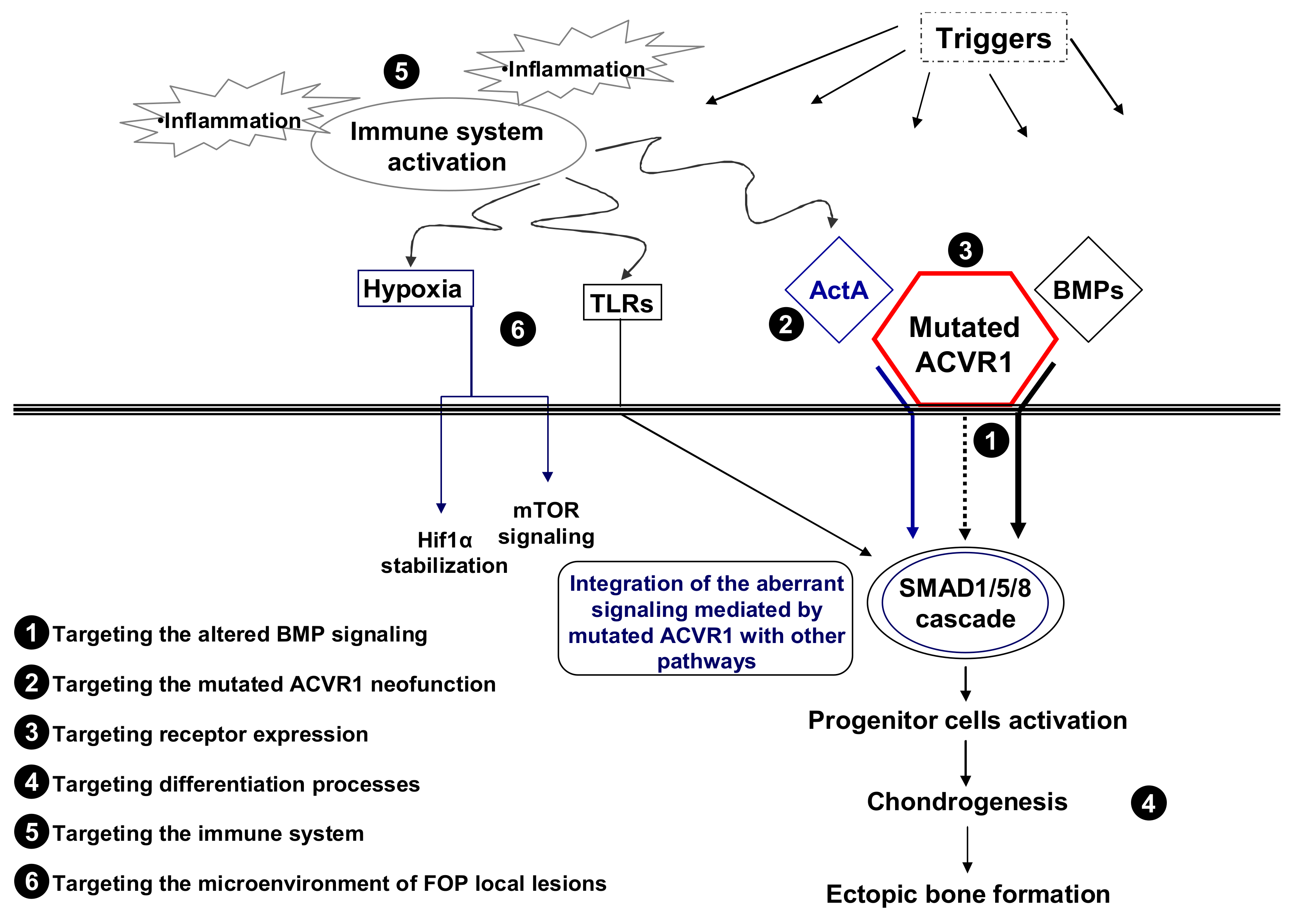 Ijms 19 00989 g001 Ijms 19 00989 g001