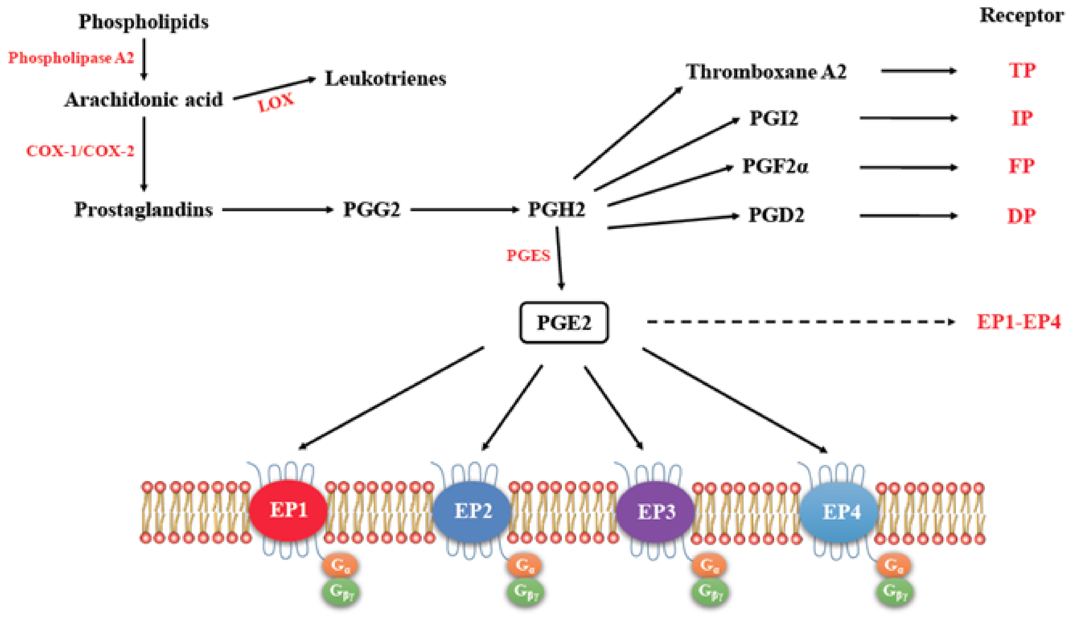 Ijms 19 01019 g001 Ijms 19 01019 g001