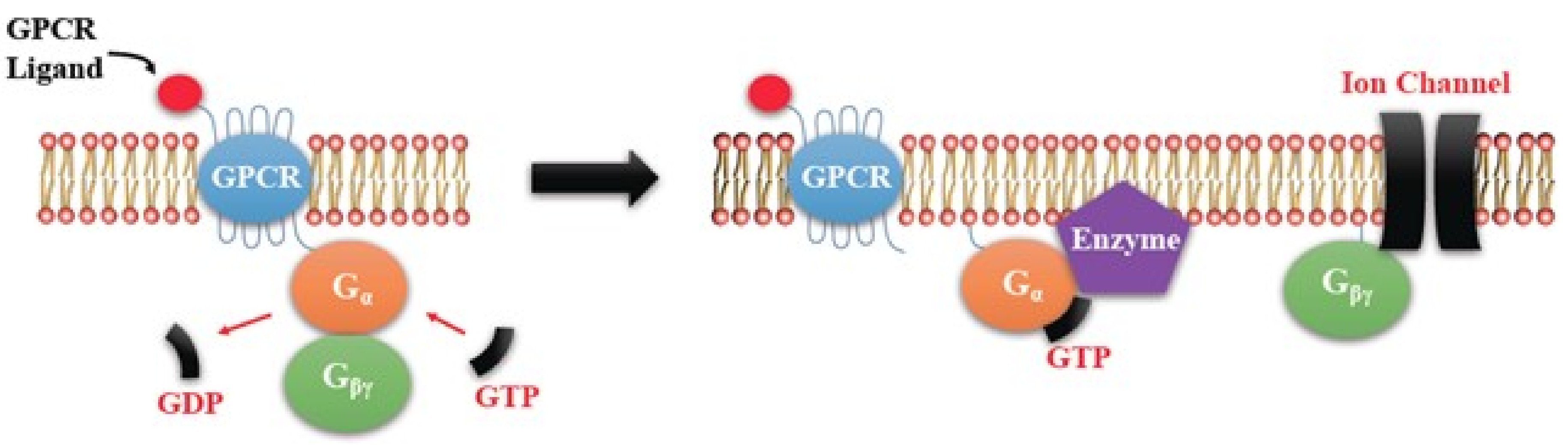 Ijms 19 01019 g002 Ijms 19 01019 g002