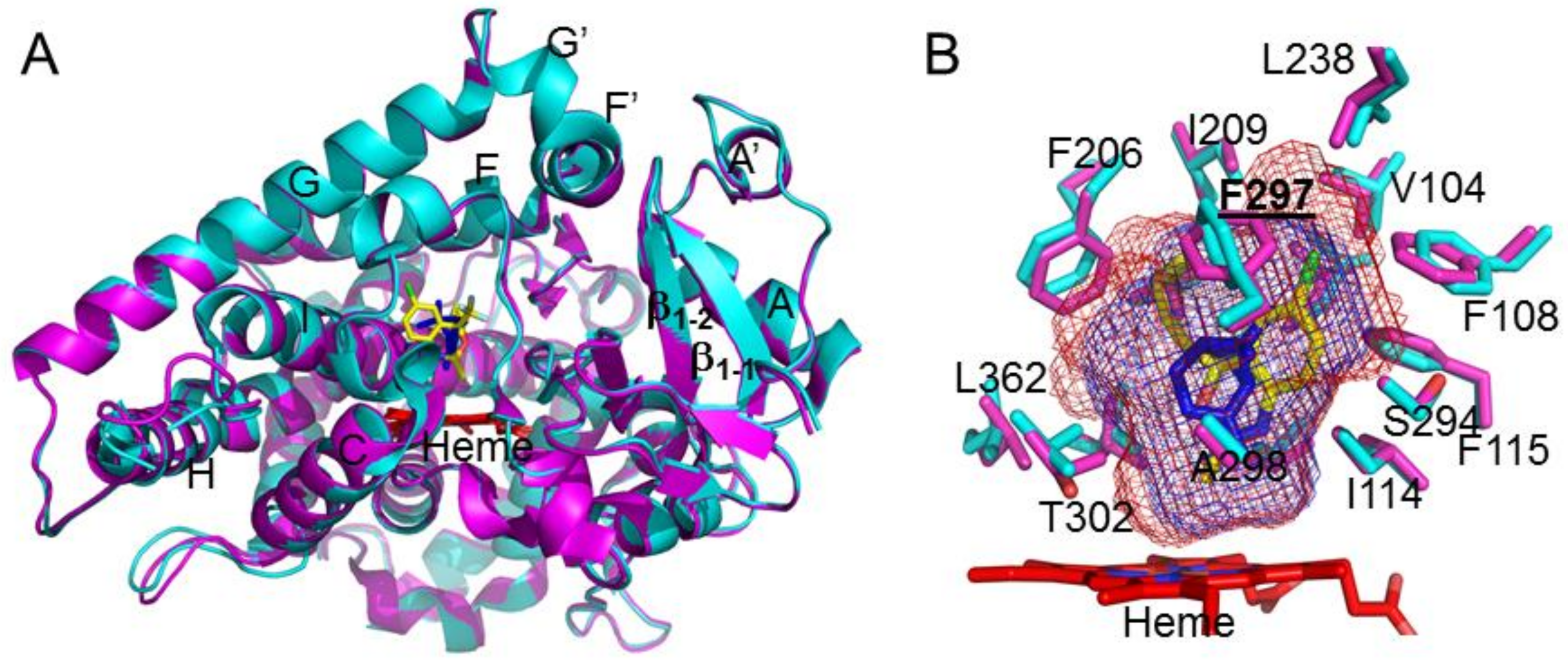 Ijms 19 01025 g002 Ijms 19 01025 g002