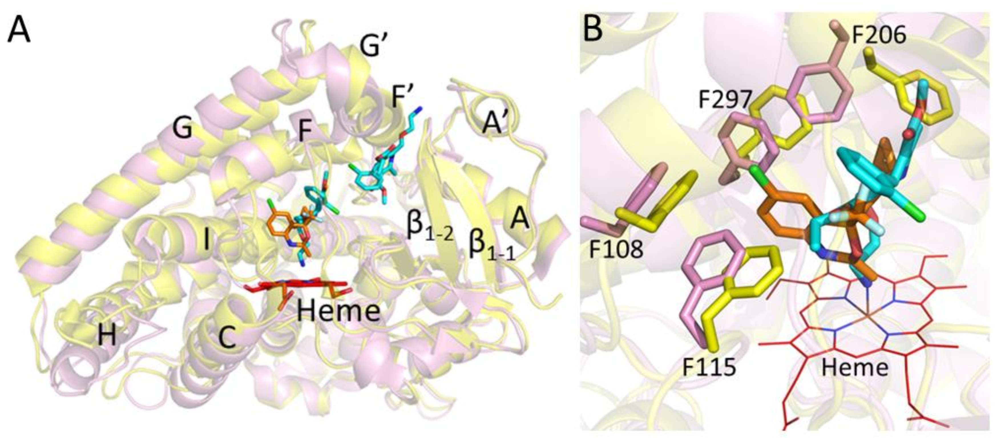 Ijms 19 01025 g003 Ijms 19 01025 g003