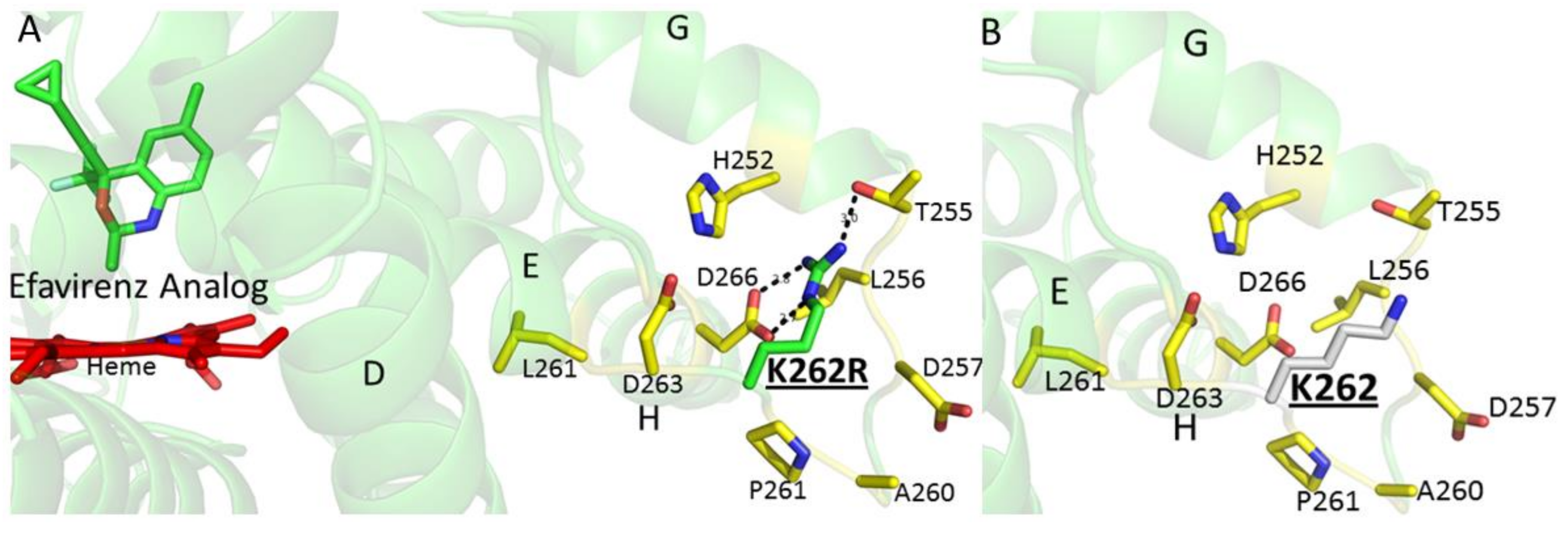 Ijms 19 01025 g004 Ijms 19 01025 g004