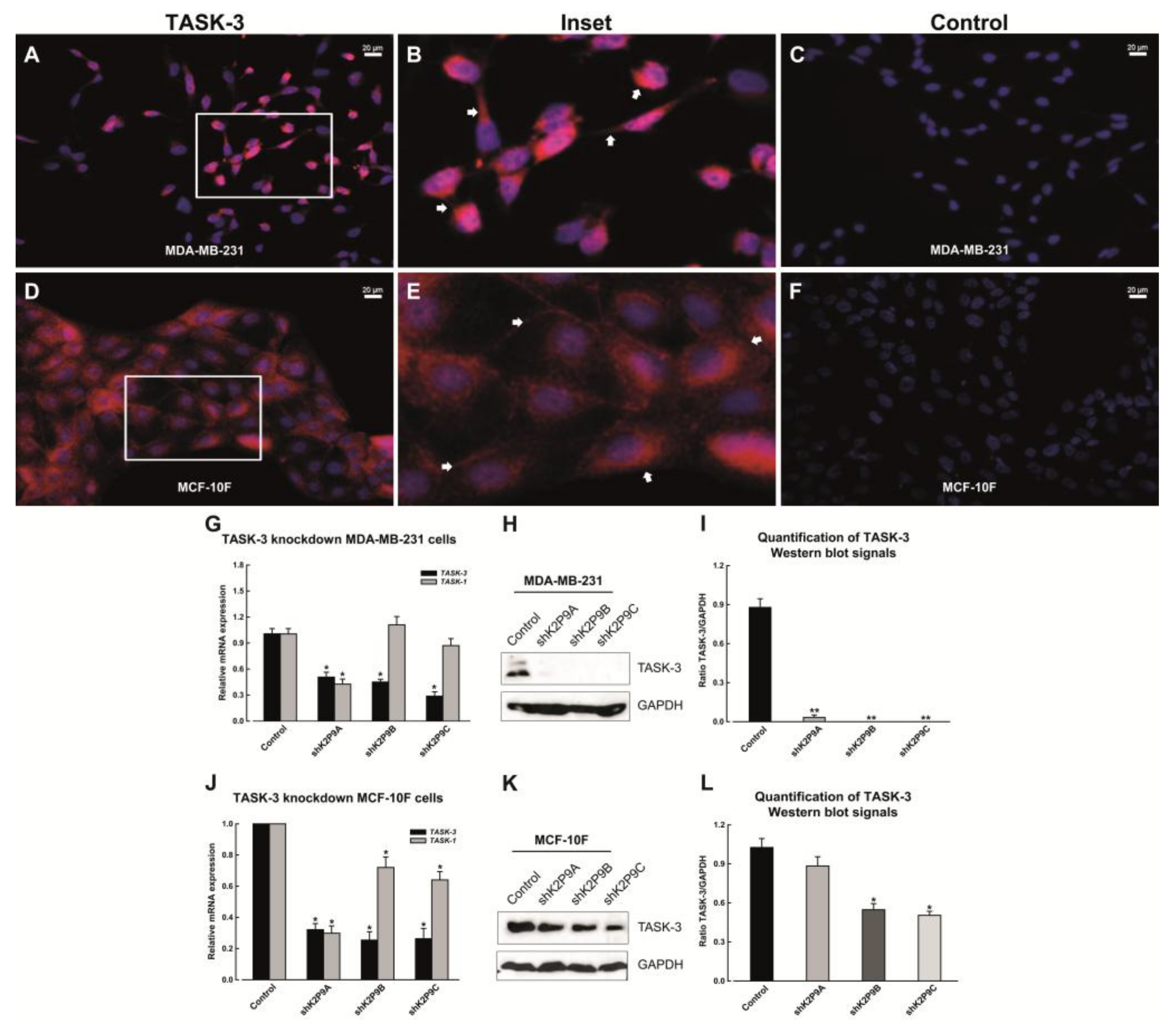 Ijms 19 01033 g001 Ijms 19 01033 g001