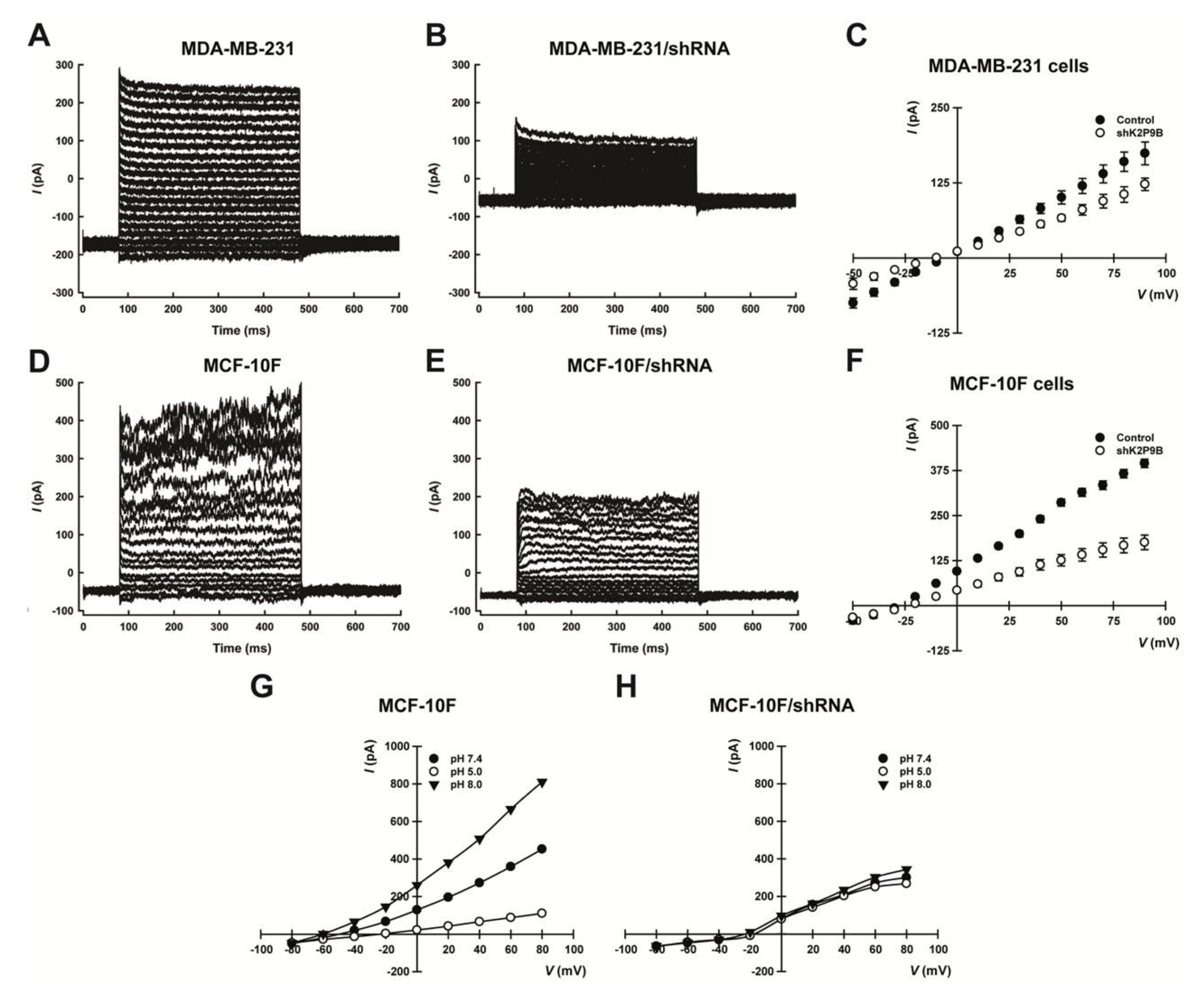 Ijms 19 01033 g002 Ijms 19 01033 g002