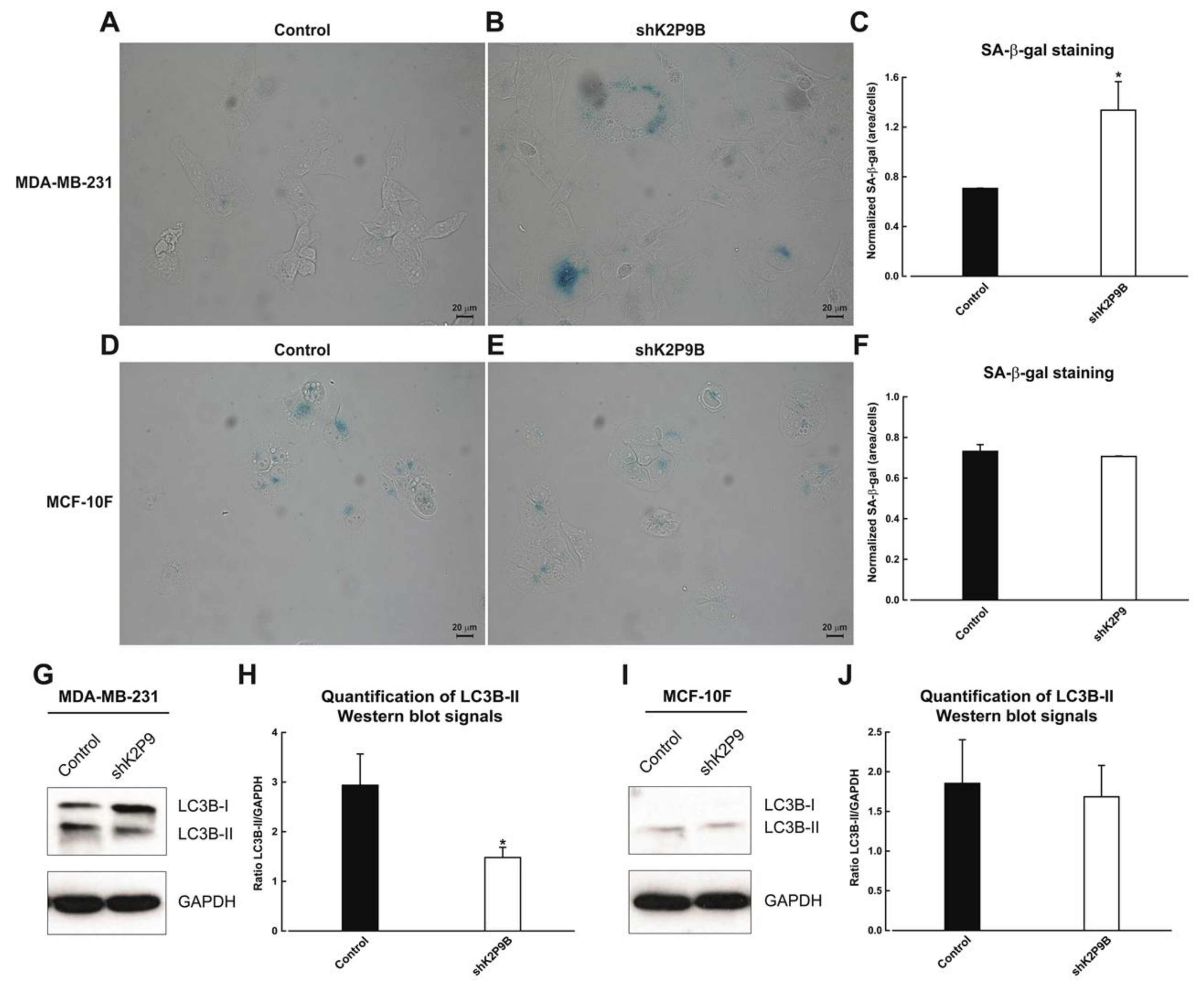 Ijms 19 01033 g004 Ijms 19 01033 g004