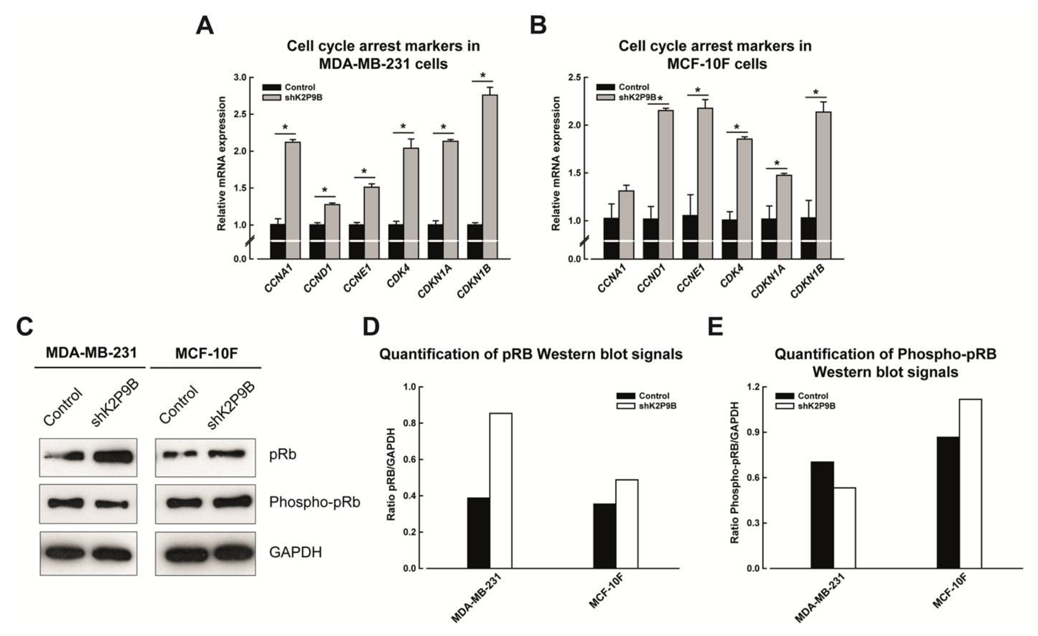 Ijms 19 01033 g006 Ijms 19 01033 g006