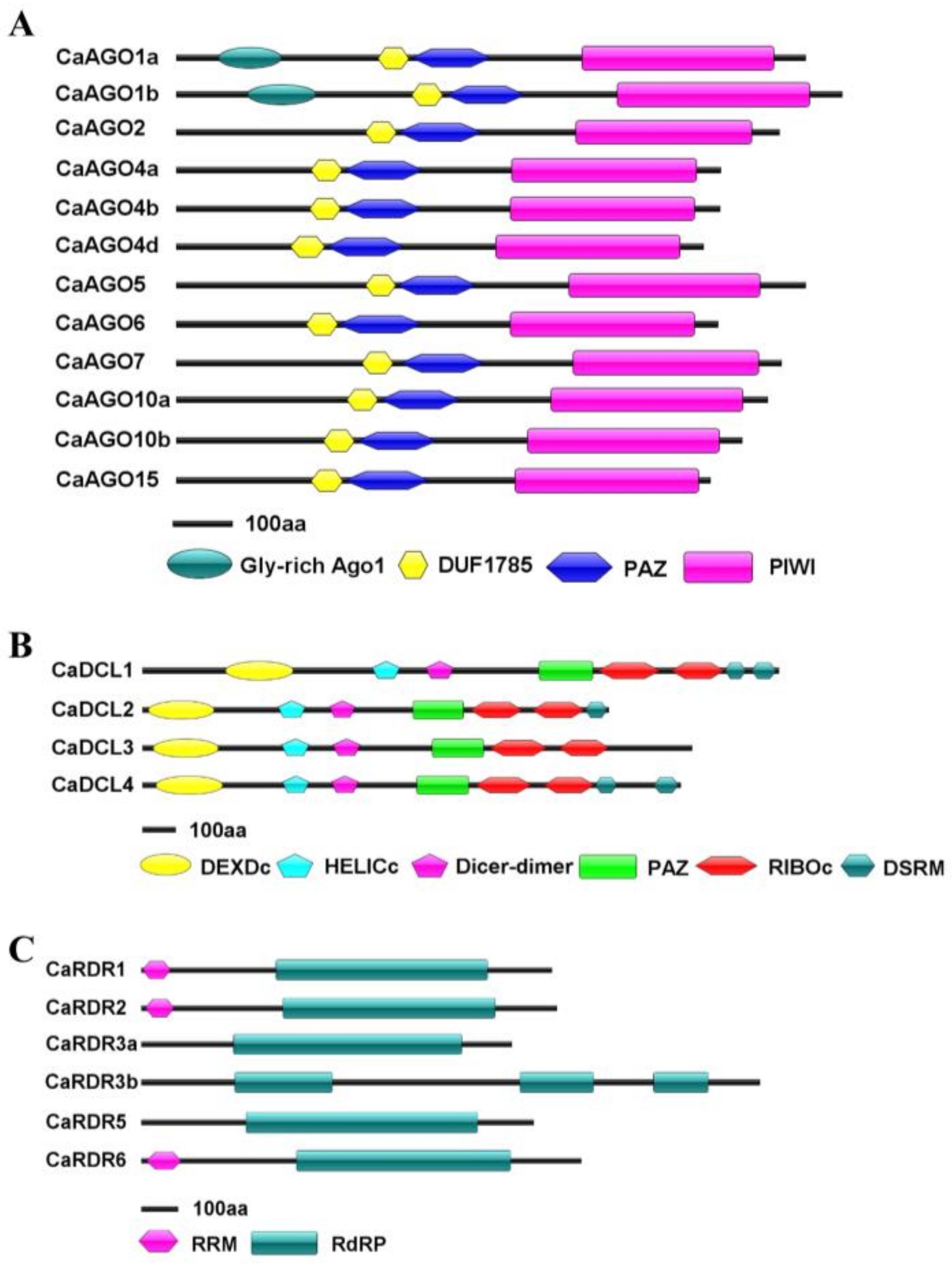 Ijms 19 01038 g001 Ijms 19 01038 g001