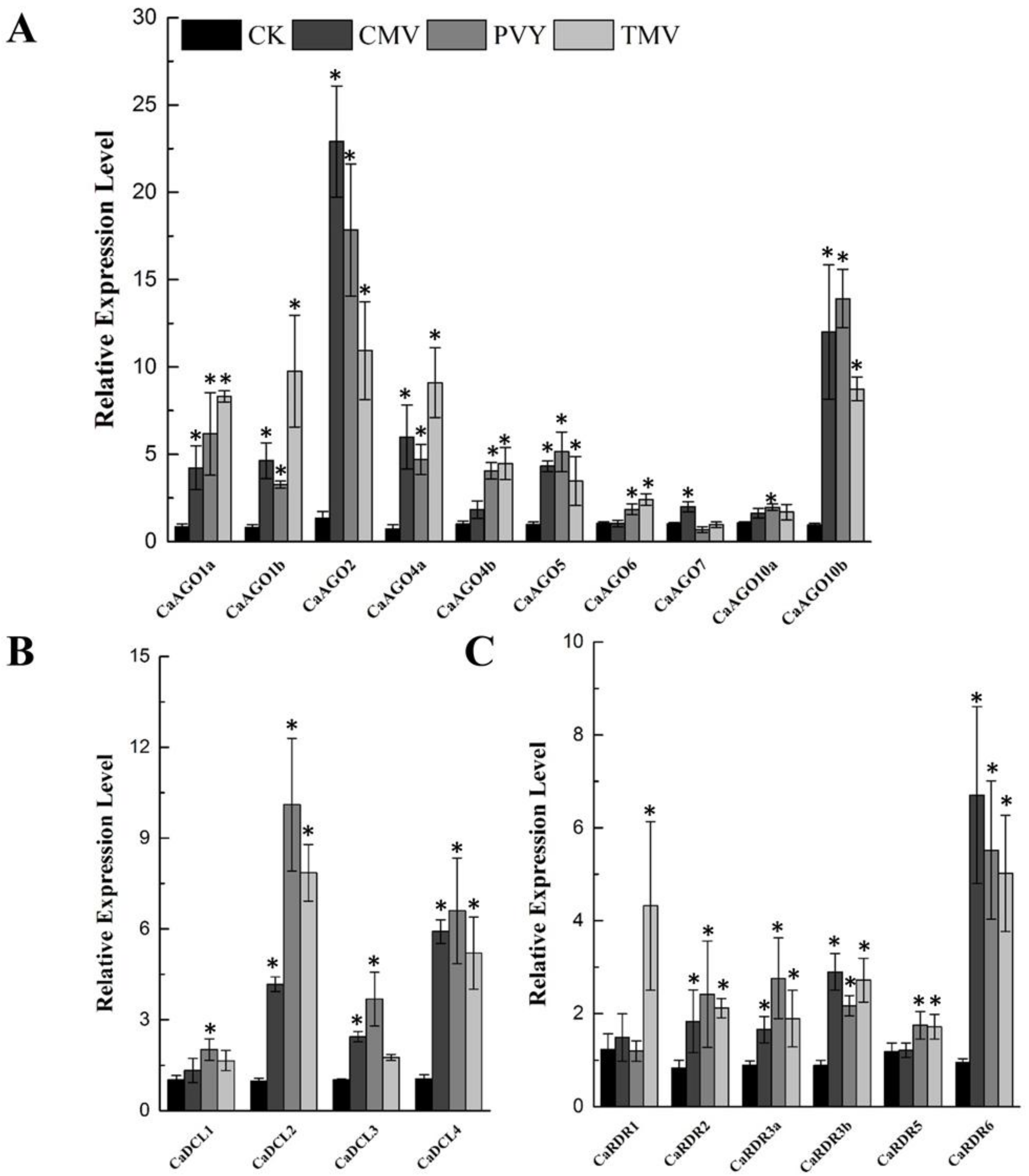 Ijms 19 01038 g004 Ijms 19 01038 g004